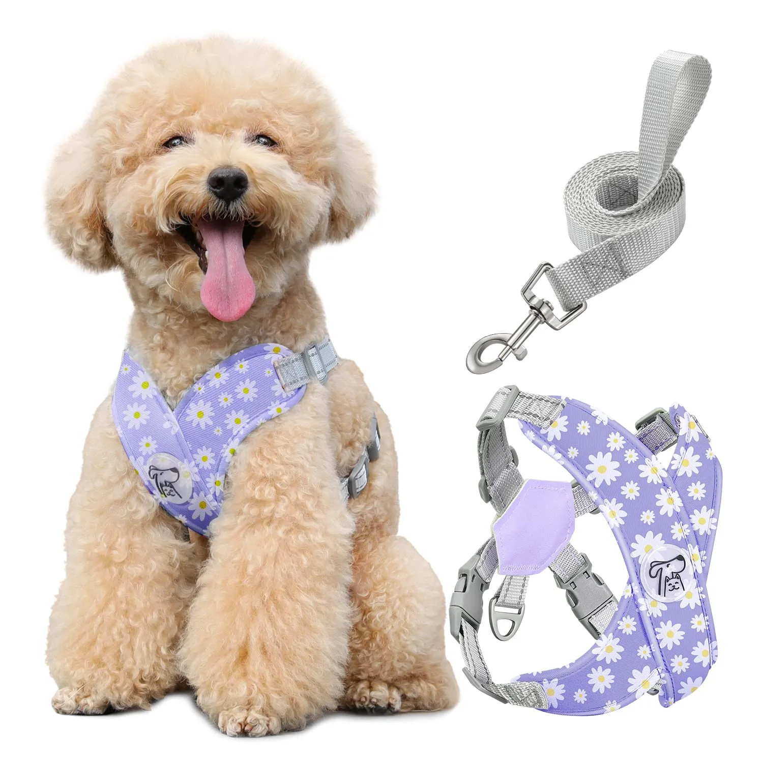 Pawaboo Set di Pettorina e Guinzaglio per Cani di Taglia Piccola, Margherita Viola, Taglia M - immagine 1