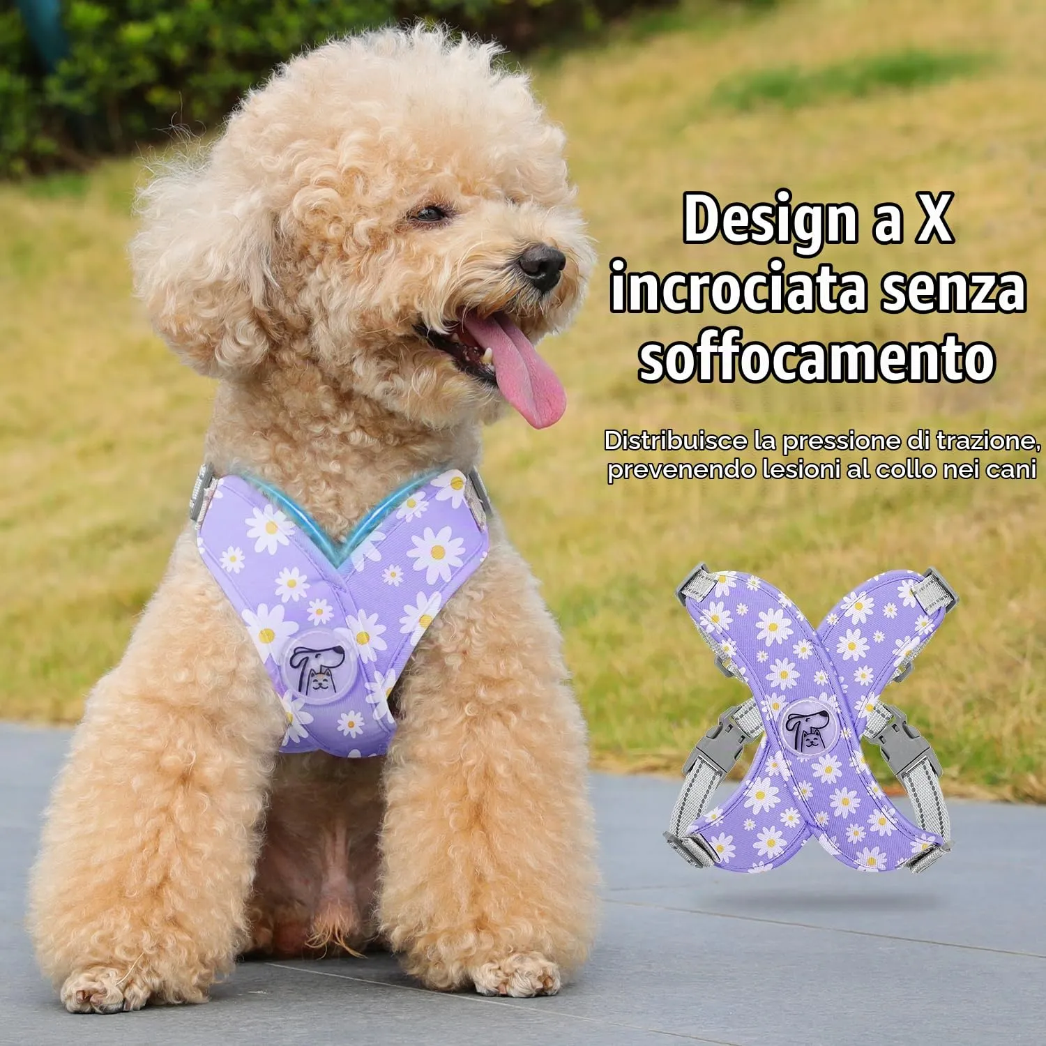 Pawaboo Set di Pettorina e Guinzaglio per Cani di Taglia Piccola, Margherita Viola, Taglia M - immagine 3