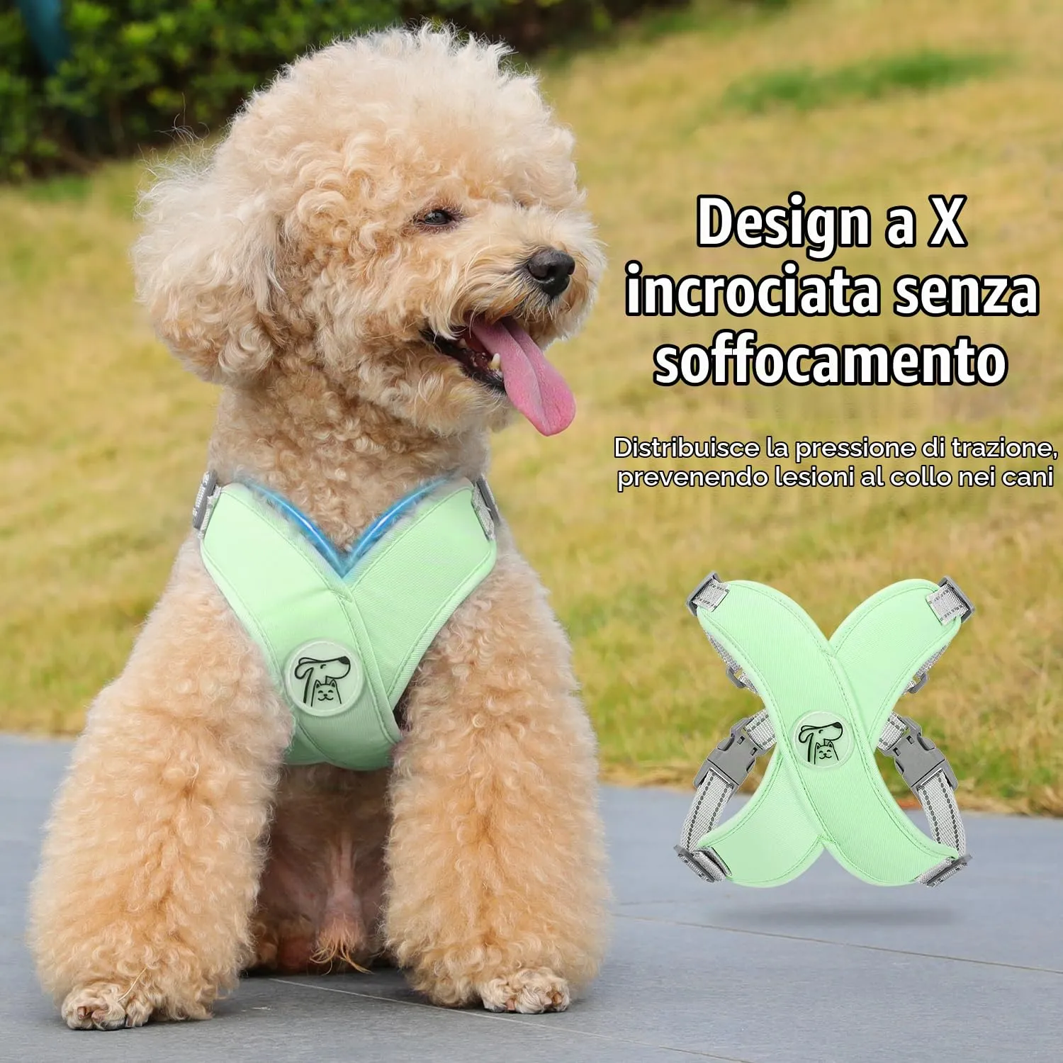Pawaboo Set di Pettorina e Guinzaglio per Cani di Taglia Piccola e Media, Menta Verde, Taglia M - immagine 3