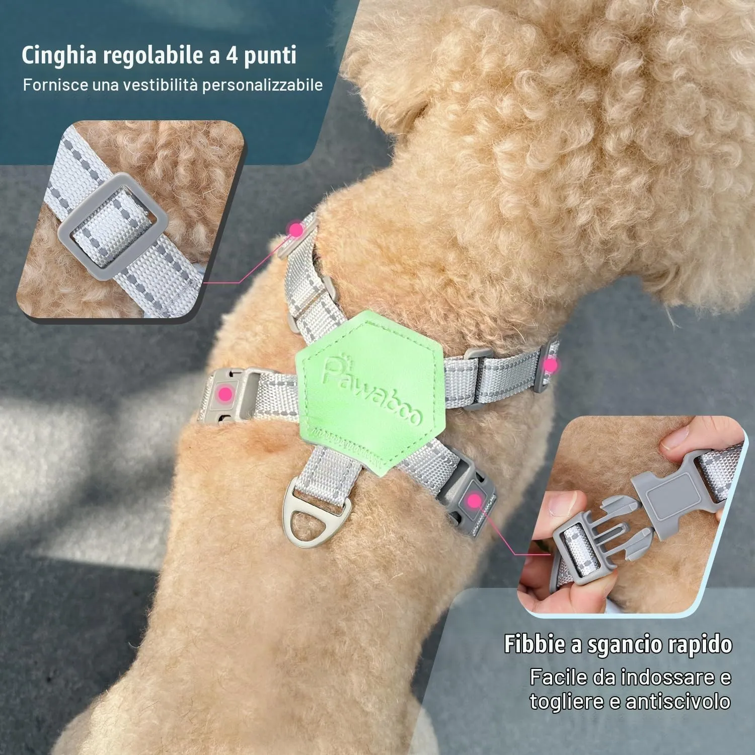 Pawaboo Set di Pettorina e Guinzaglio per Cani di Taglia Piccola e Media, Menta Verde, Taglia M - immagine 4