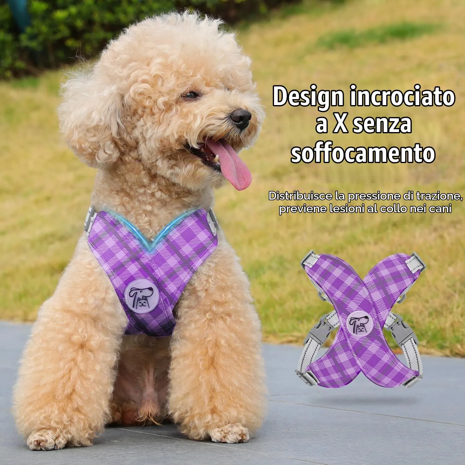 Pawaboo Imbracatura di Sicurezza per Cani con Guinzaglio, S, Viola Plaid - immagine 3