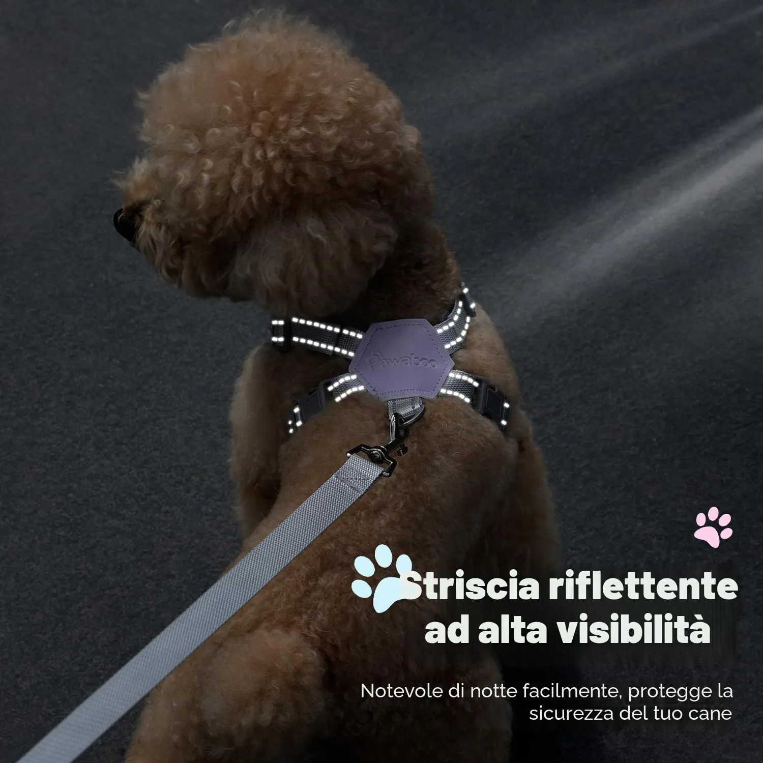 Pawaboo Imbracatura di Sicurezza per Cani con Guinzaglio, S, Viola Plaid - immagine 7