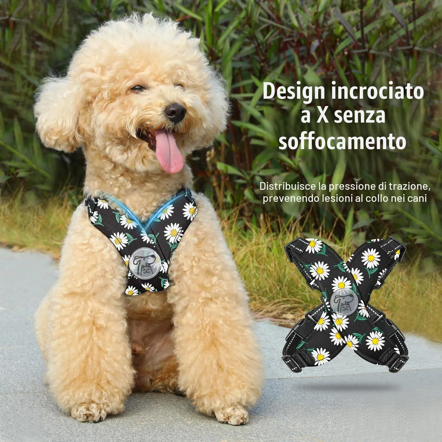 Pawaboo Imbracatura di Sicurezza per Cani con Guinzaglio, Traspirante, Senza Tirare, S, Margherita Nera - immagine 3