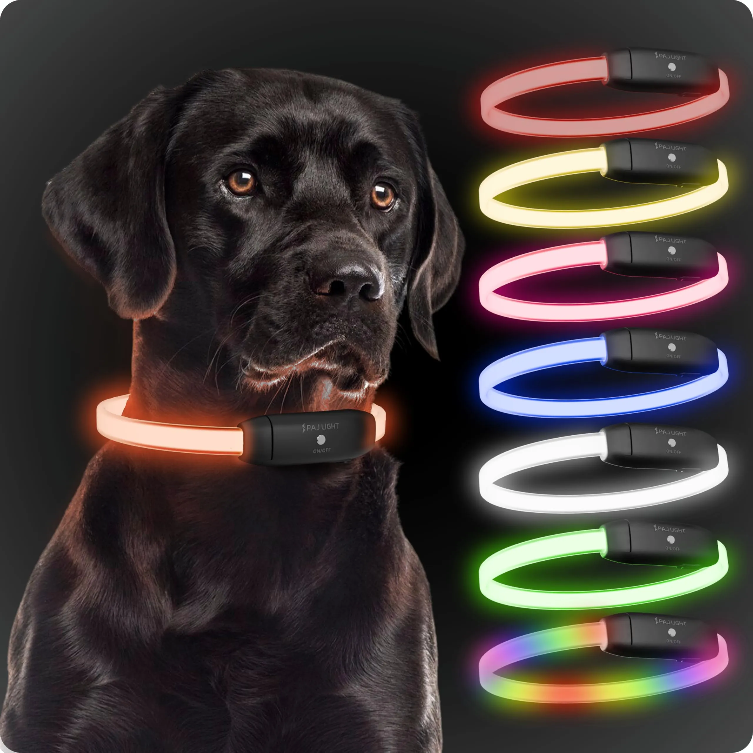 PAJ GPS Collare Luminoso LED Regolabile per Cani, Nero - immagine 1