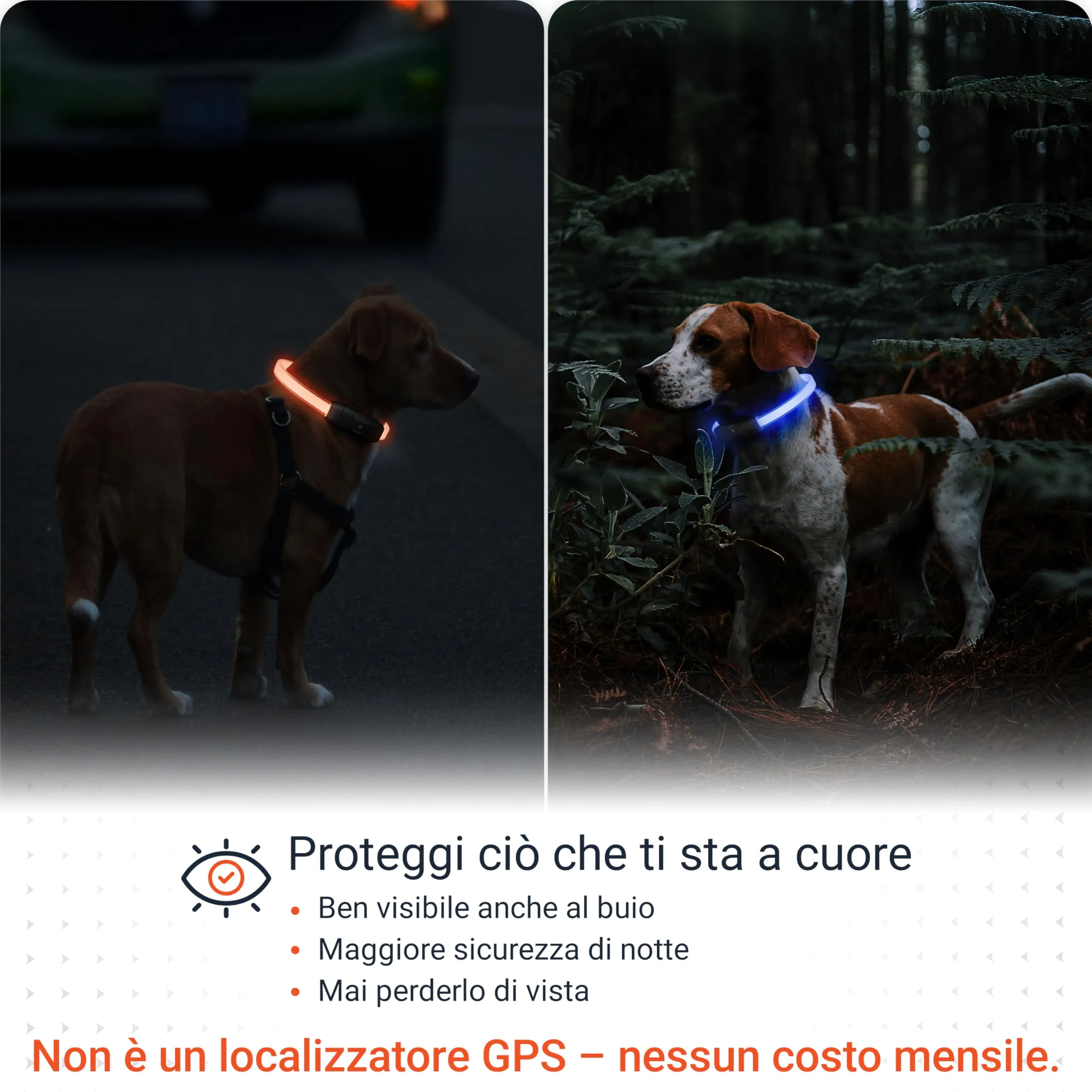 PAJ GPS Collare Luminoso LED Regolabile per Cani, Nero - immagine 2