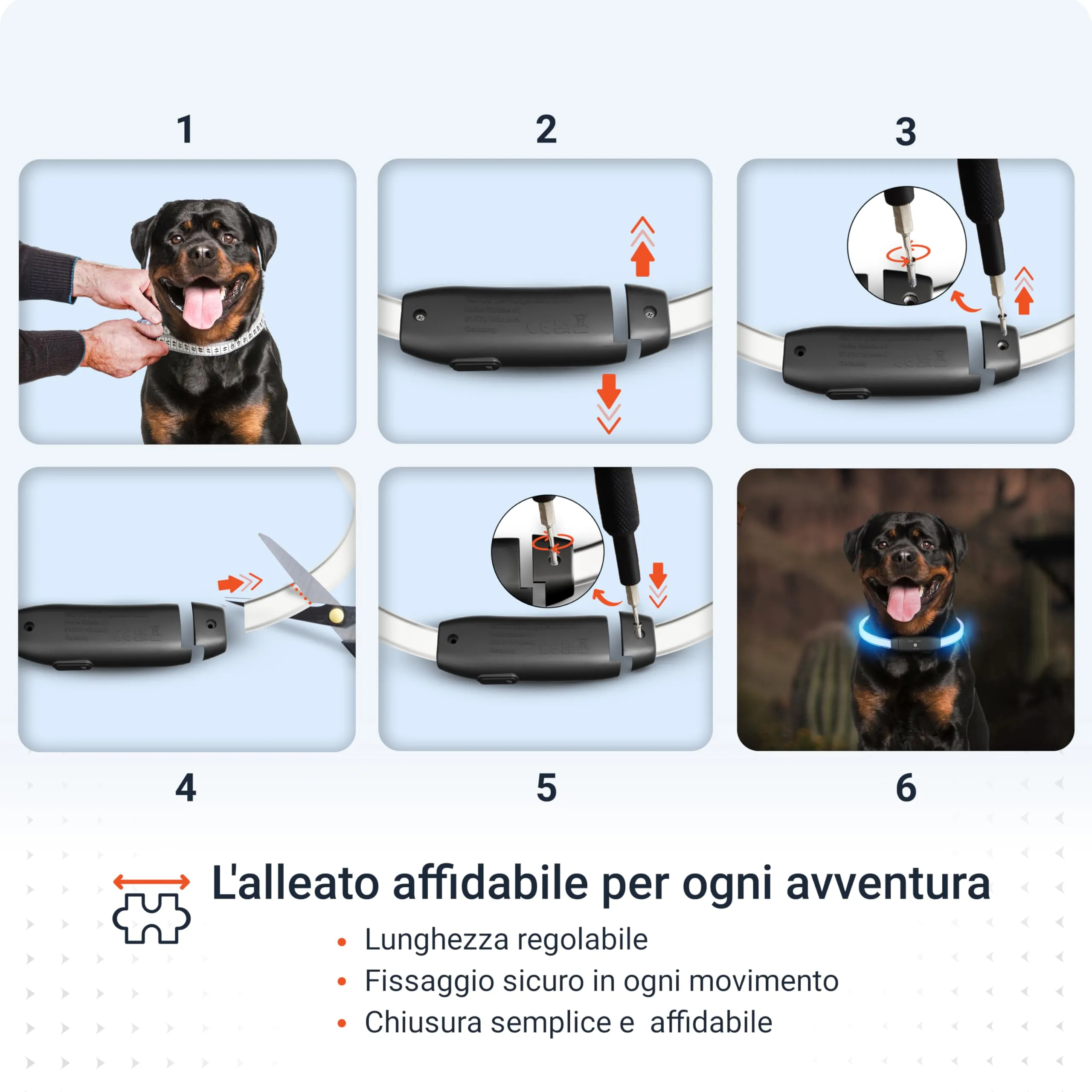 PAJ GPS Collare Luminoso LED Regolabile per Cani, Nero - immagine 6