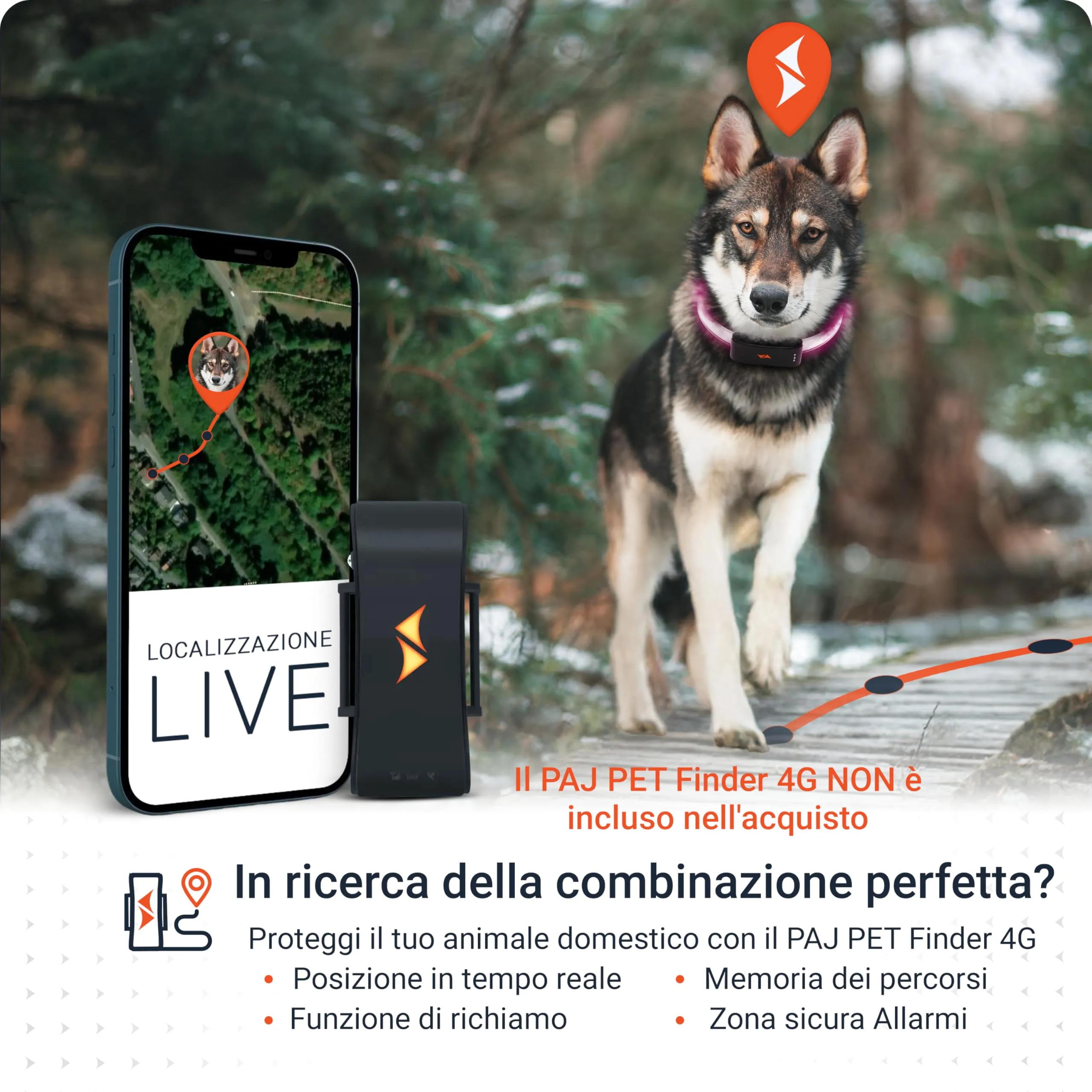 PAJ GPS Collare Luminoso LED Regolabile per Cani, Nero - immagine 8