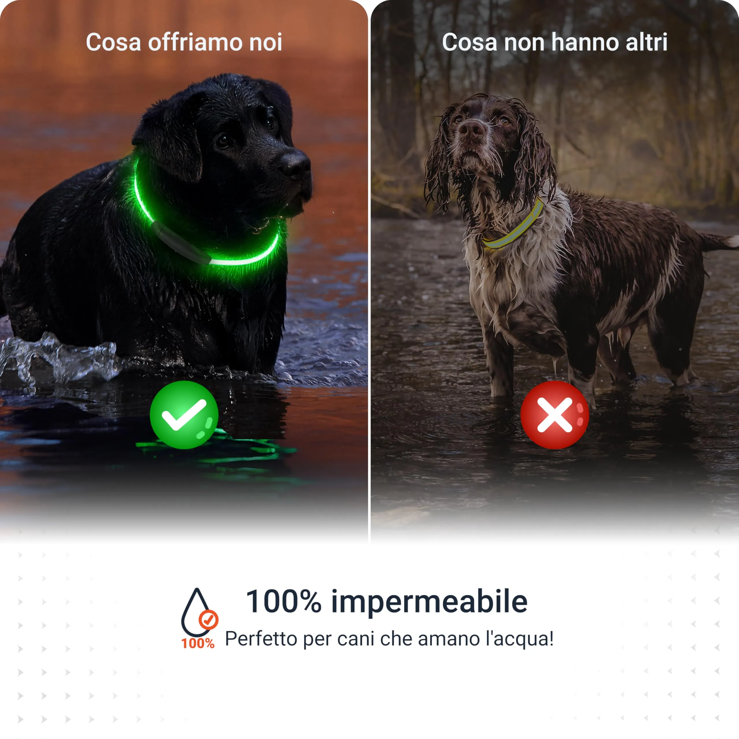 PAJ GPS Collare Luminoso LED Regolabile per Cani, Nero - immagine 9
