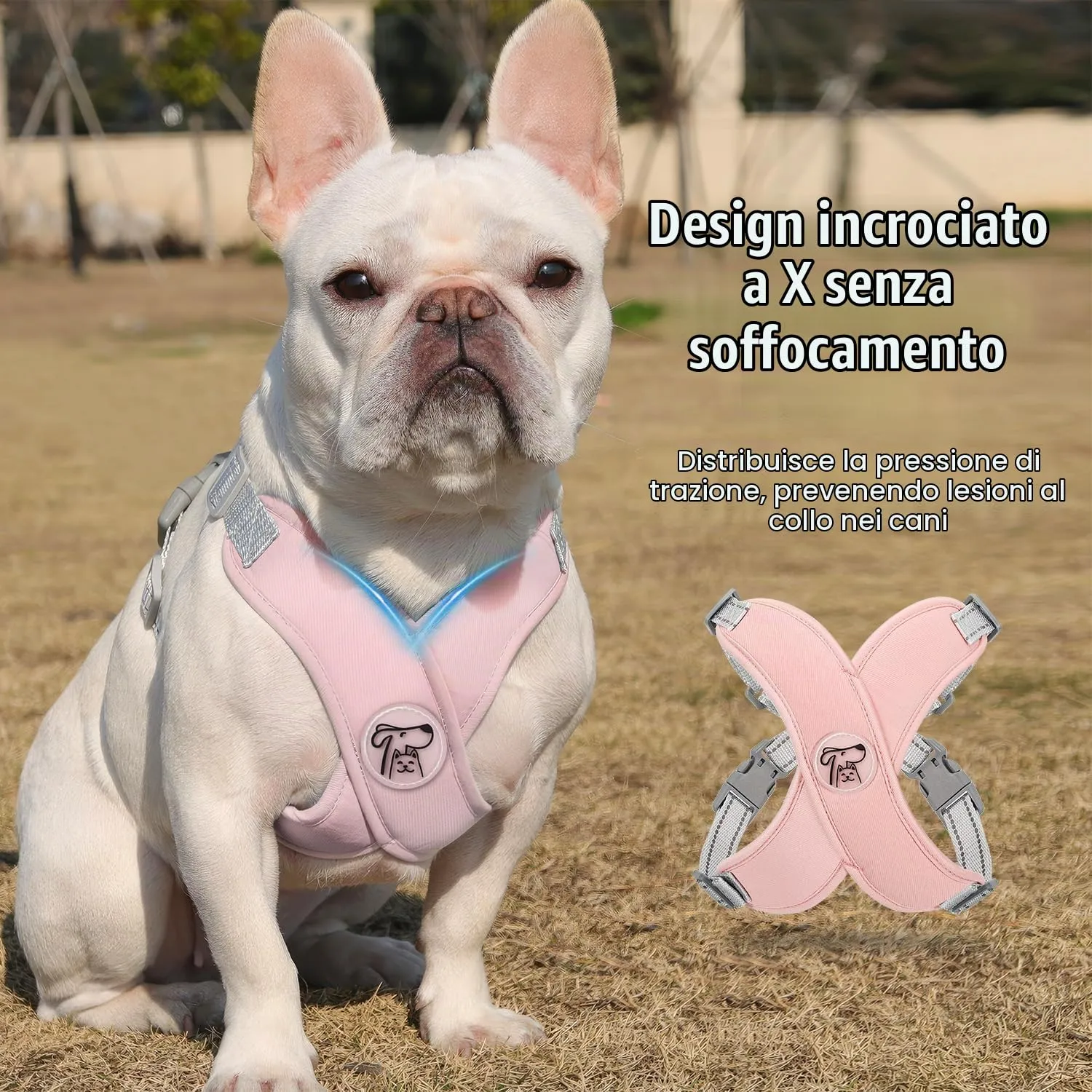 Pawaboo Set di Pettorina e Guinzaglio per Cani, Taglia L, Rosa - immagine 3