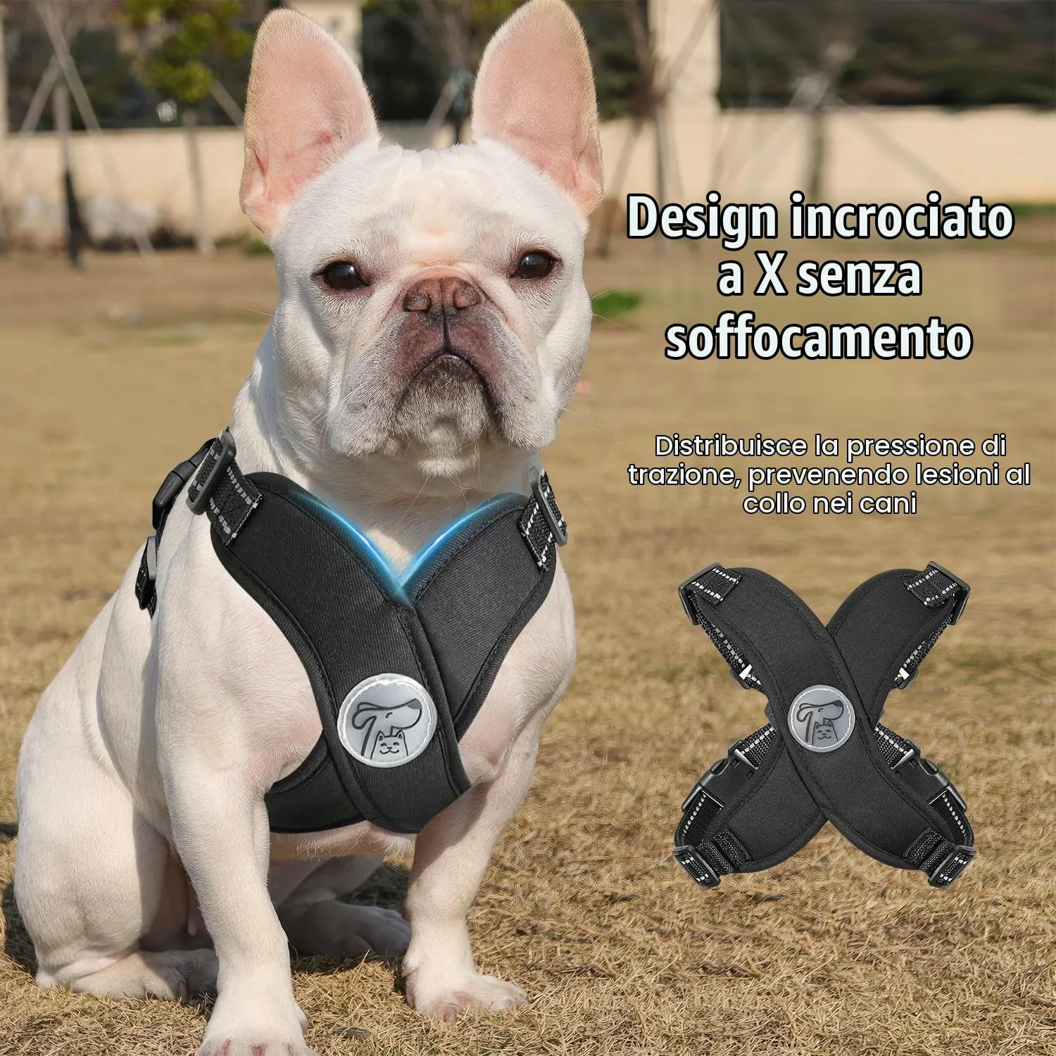 Pawaboo Set Pettorina e Guinzaglio per Cani, Taglia L, Nero - immagine 3