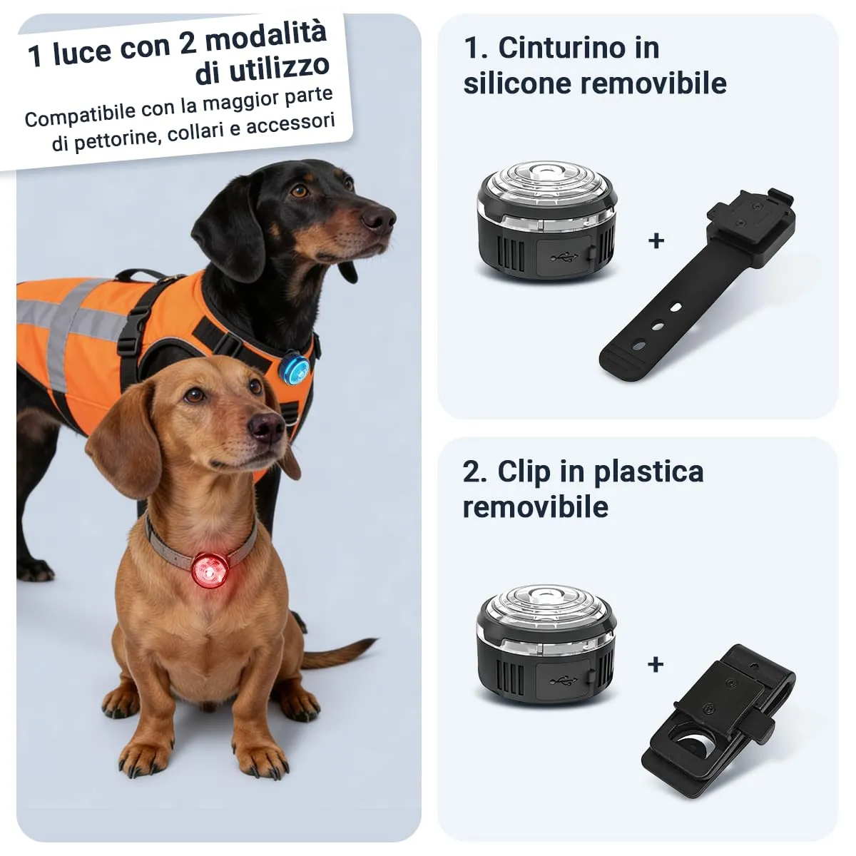 PAJ GPS Luce LED Ultraluminosa per Cani, 2 Unità - immagine 4