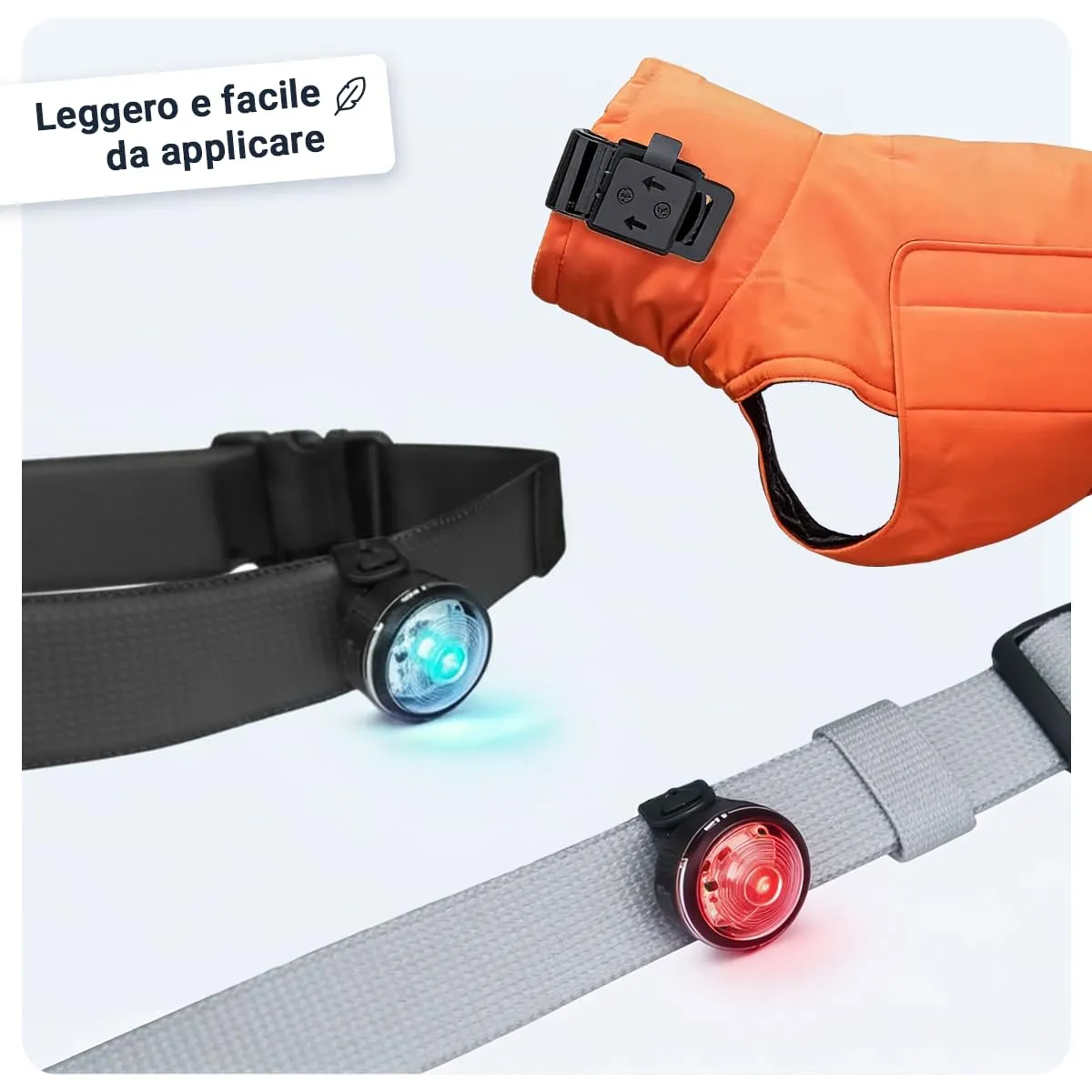 PAJ GPS Luce LED Ultraluminosa per Cani, 2 Unità - immagine 7