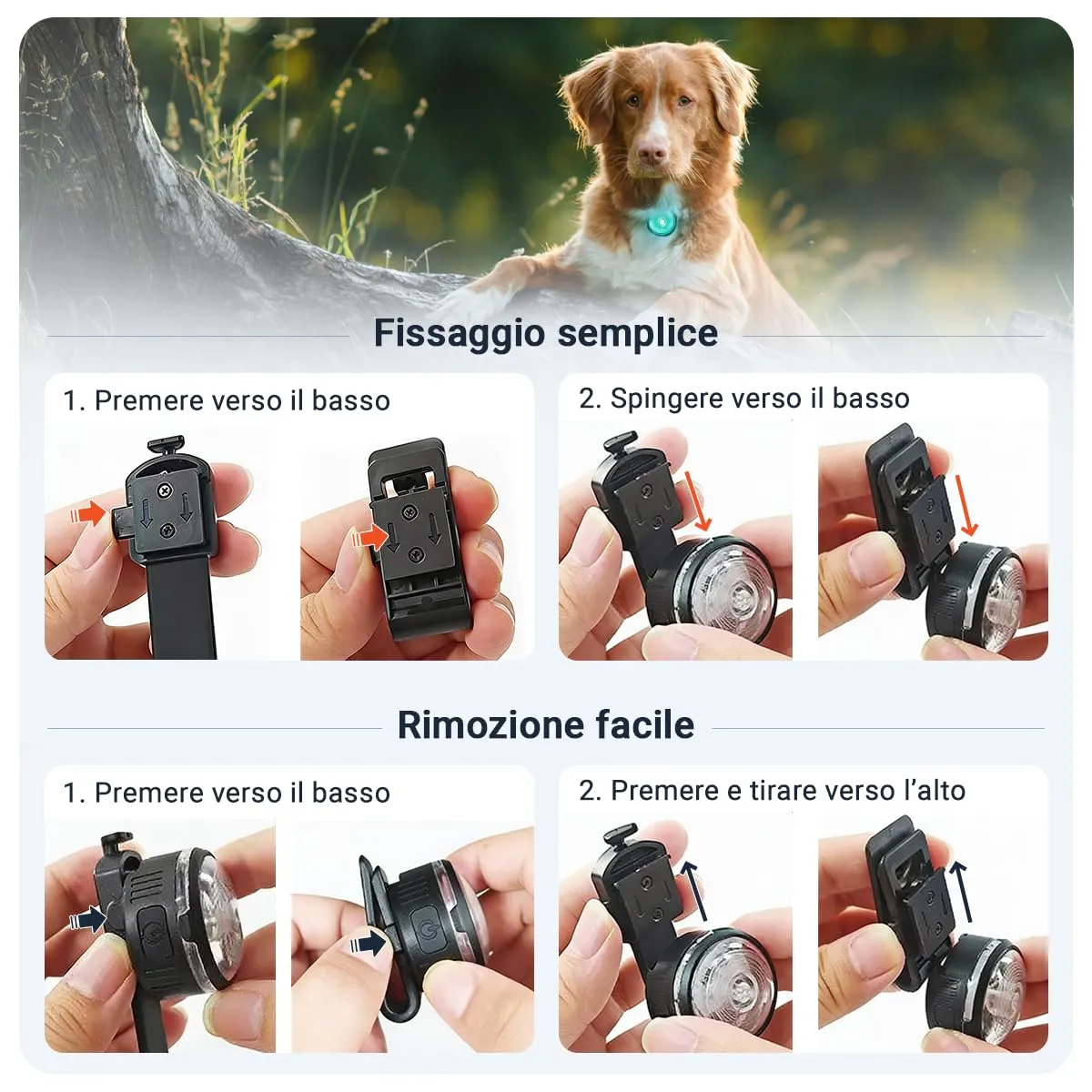 PAJ GPS Luce LED Ultraluminosa per Cani, 2 Unità - immagine 8