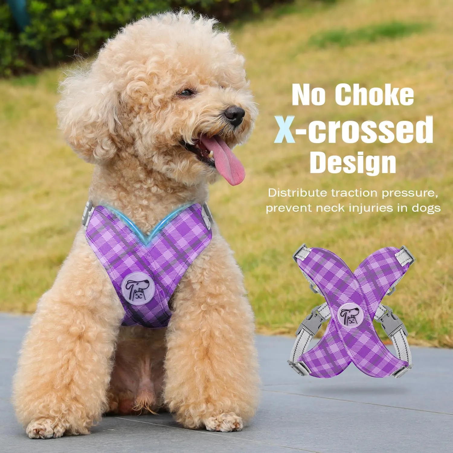 Pawaboo Set di Pettorina e Guinzaglio per Cani di Taglia Piccola e Media, Viola Plaid, Taglia M - immagine 3