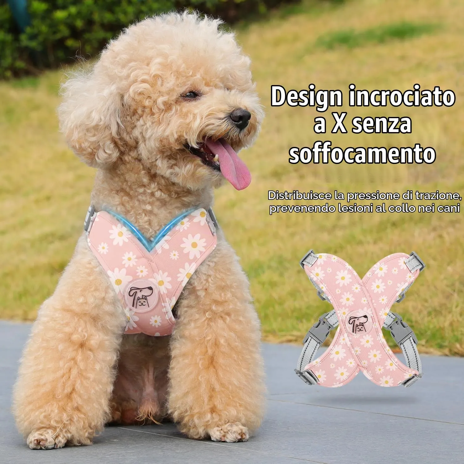 Pawaboo Set di Pettorina e Guinzaglio per Cani, Taglia S, Margherita Rosa - immagine 3