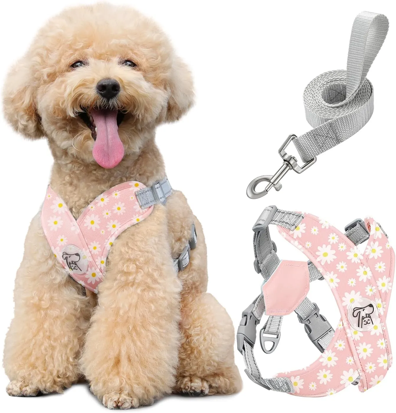 Pawaboo Set di Pettorina e Guinzaglio per Cani di Taglia Piccola, Margherita Rosa, M - immagine 1