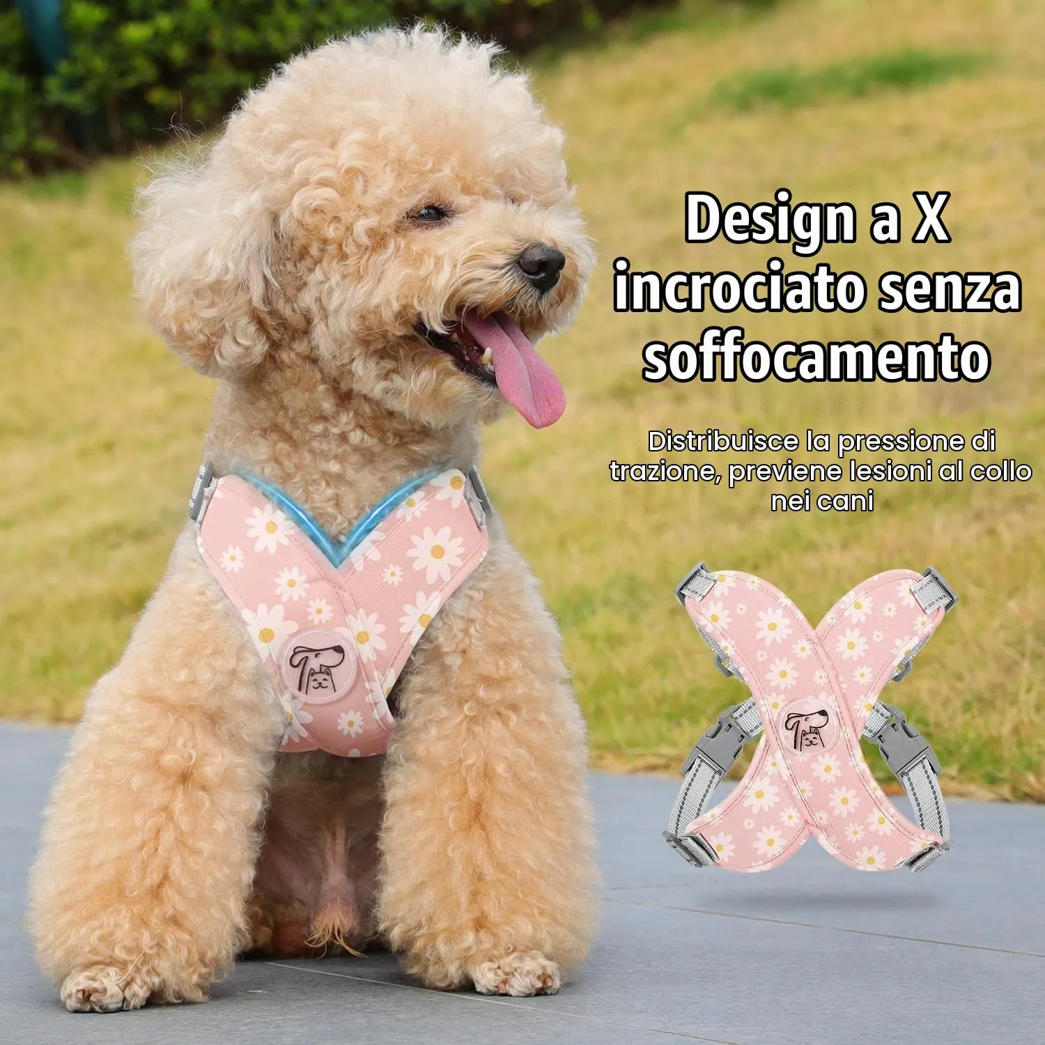 Pawaboo Set di Pettorina e Guinzaglio per Cani di Taglia Piccola, Margherita Rosa, M - immagine 3