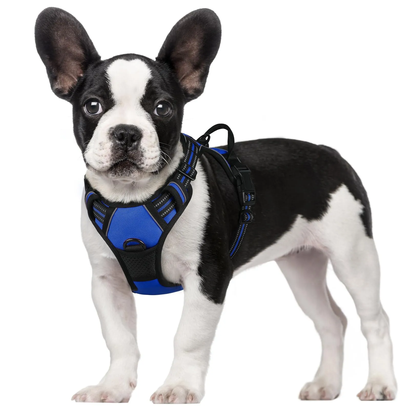 rabbitgoo Pettorina Cane ad H Regolabile Anti Tiro Riflettente, Blu, S - immagine 1