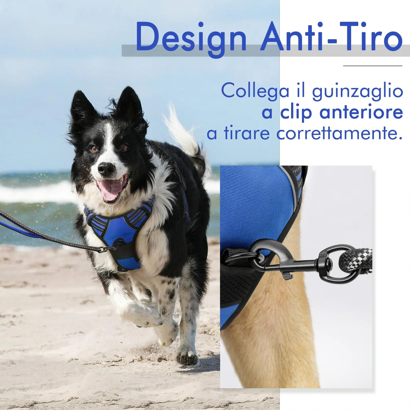 rabbitgoo Pettorina Cane ad H Regolabile Anti Tiro Riflettente, Blu, S - immagine 5