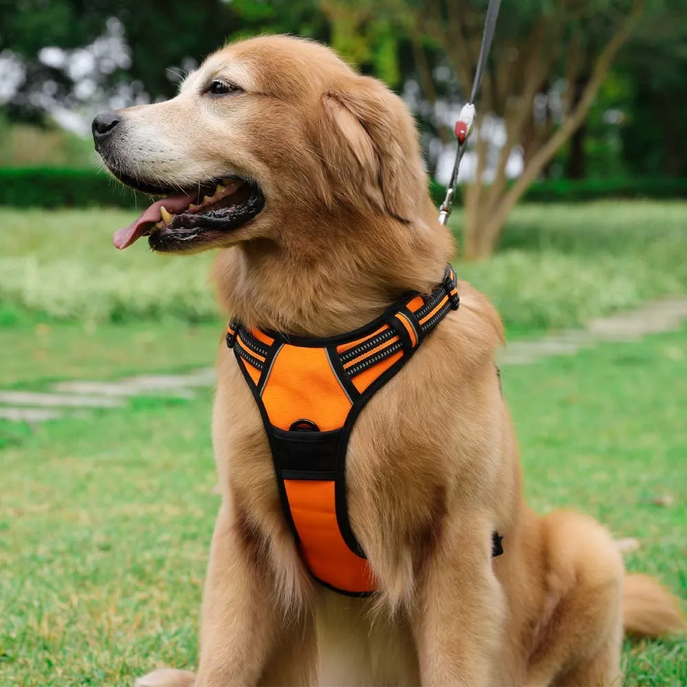 rabbitgoo Pettorina Cane ad H Regolabile Anti Tiro Riflettente, Traspirante per Addestramento e Corsa, Arancio, XL - immagine 2