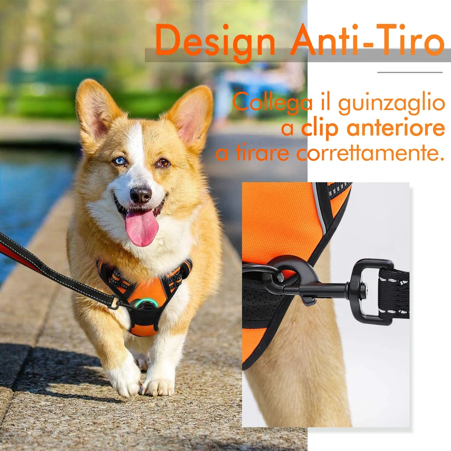 rabbitgoo Pettorina Cane ad H Regolabile Anti Tiro Riflettente, Traspirante per Addestramento e Corsa, Arancio, XL - immagine 4