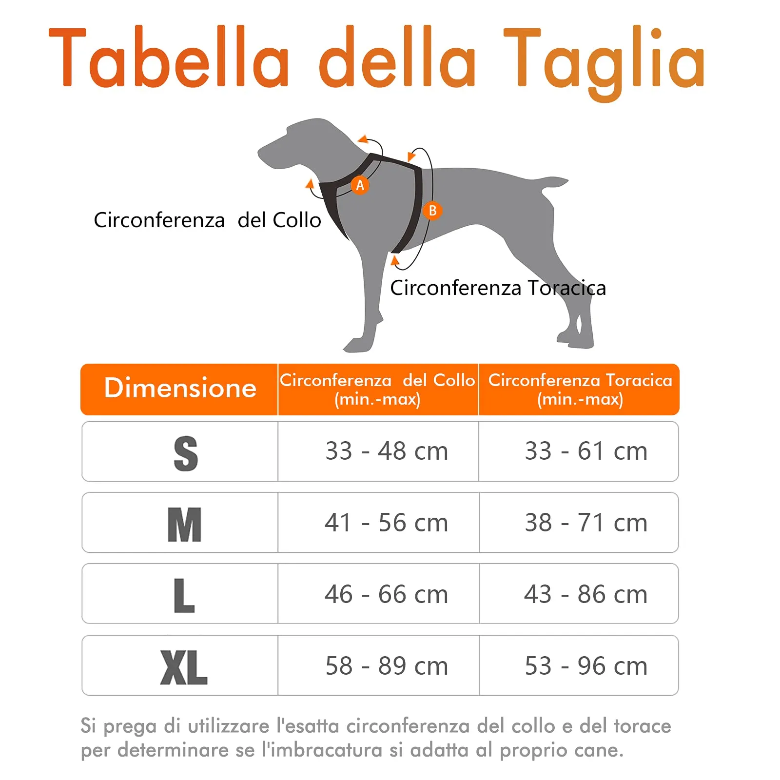 rabbitgoo Pettorina Cane ad H Regolabile Anti Tiro Riflettente, Traspirante per Addestramento e Corsa, Arancio, XL - immagine 10
