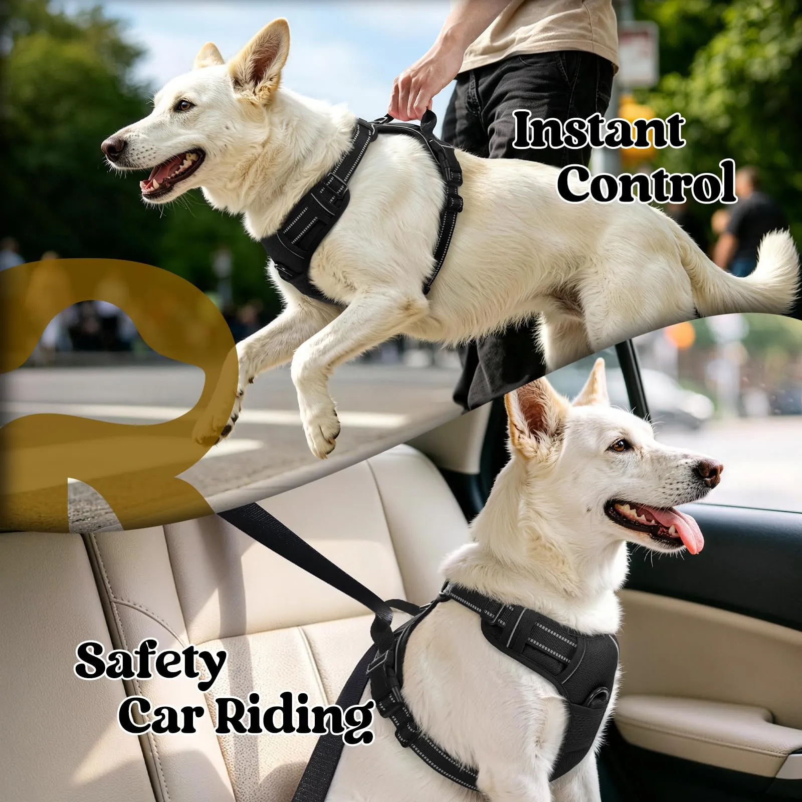rabbitgoo Pettorina Cane ad H Regolabile, Imbracatura Anti Tiro Riflettente e Traspirante, Nero, L - immagine 6