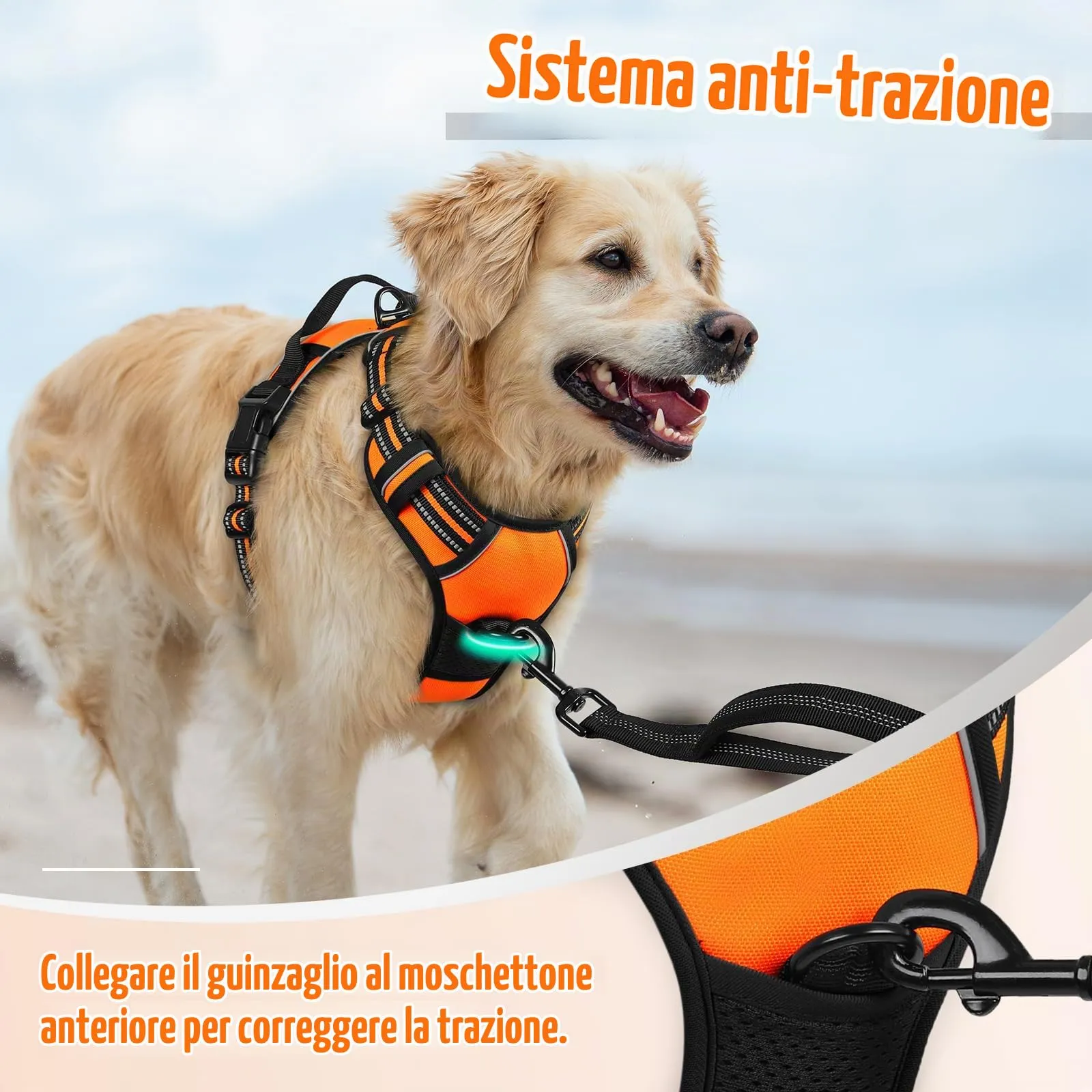 rabbitgoo Pettorina Cane ad H Regolabile, Anti Tiro e Riflettente, Traspirante, Arancio, M - immagine 6