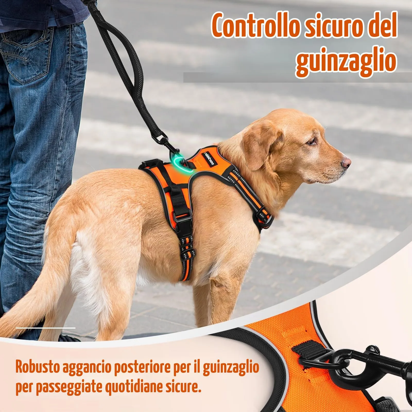 rabbitgoo Pettorina Cane ad H Regolabile, Anti Tiro e Riflettente, Traspirante, Arancio, M - immagine 7