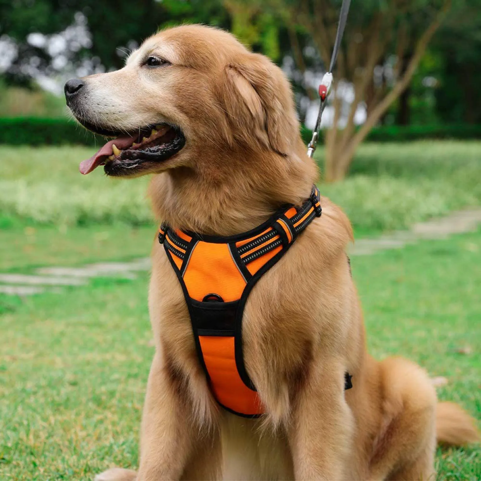 rabbitgoo Pettorina Cane ad H Regolabile Anti Tiro Riflettente, Arancio, L - immagine 2