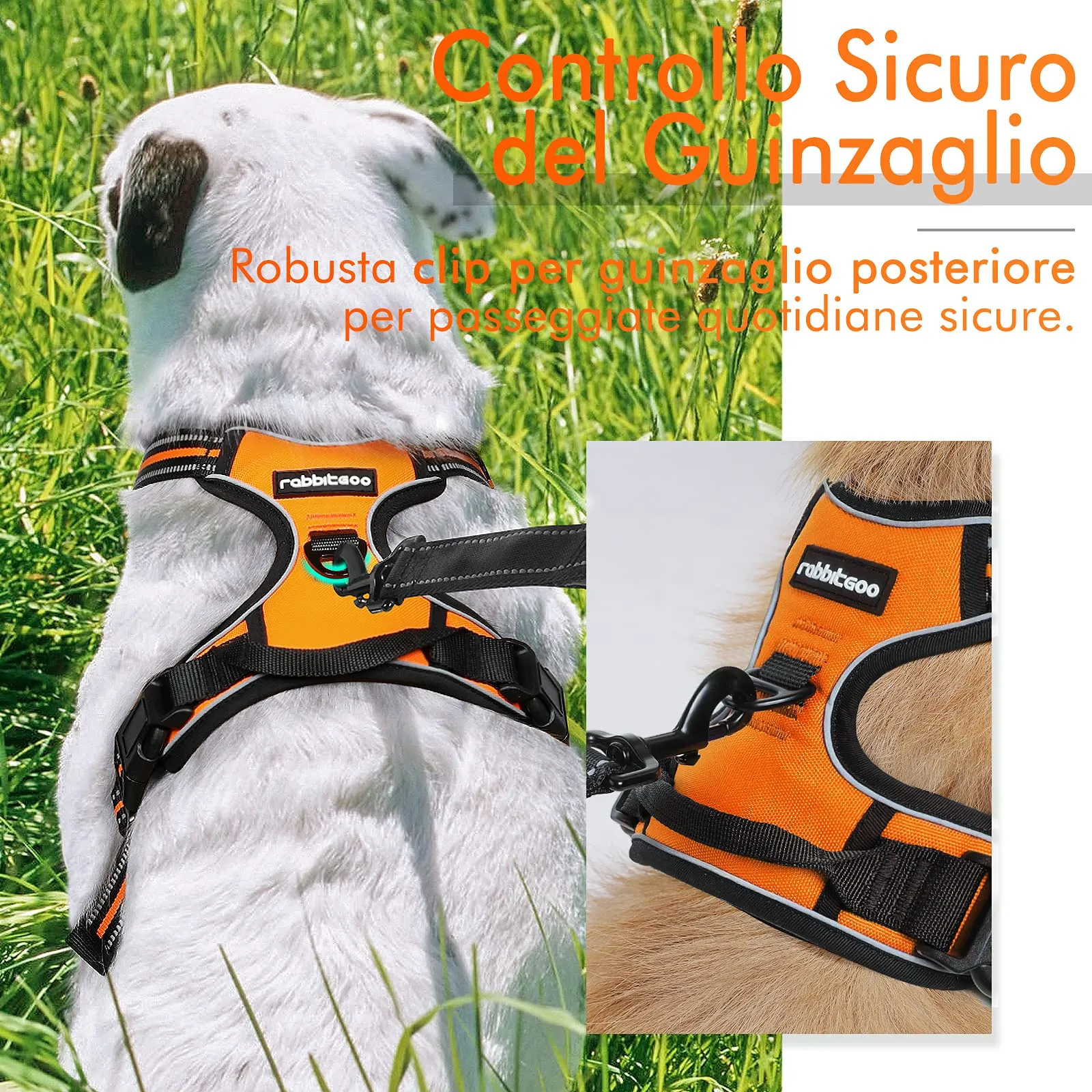 rabbitgoo Pettorina Cane ad H Regolabile Anti Tiro Riflettente, Arancio, L - immagine 5