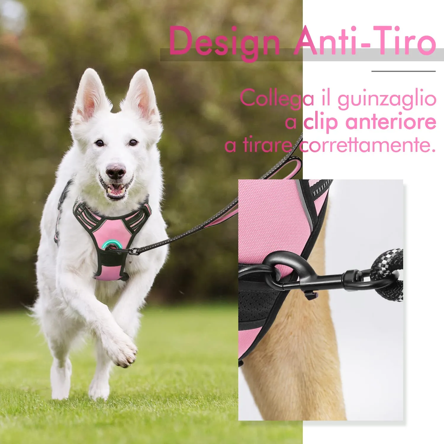 rabbitgoo Pettorina Cane ad H Regolabile Anti Tiro Riflettente, Rosa, L - immagine 3