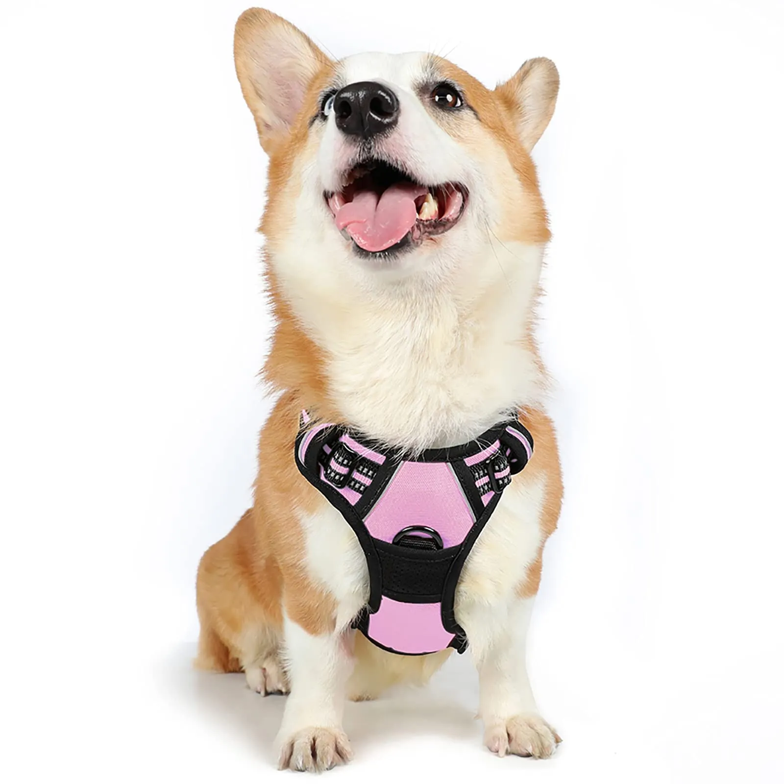 rabbitgoo Pettorina Cane ad H Regolabile Anti Tiro Riflettente, Rosa, M - immagine 1