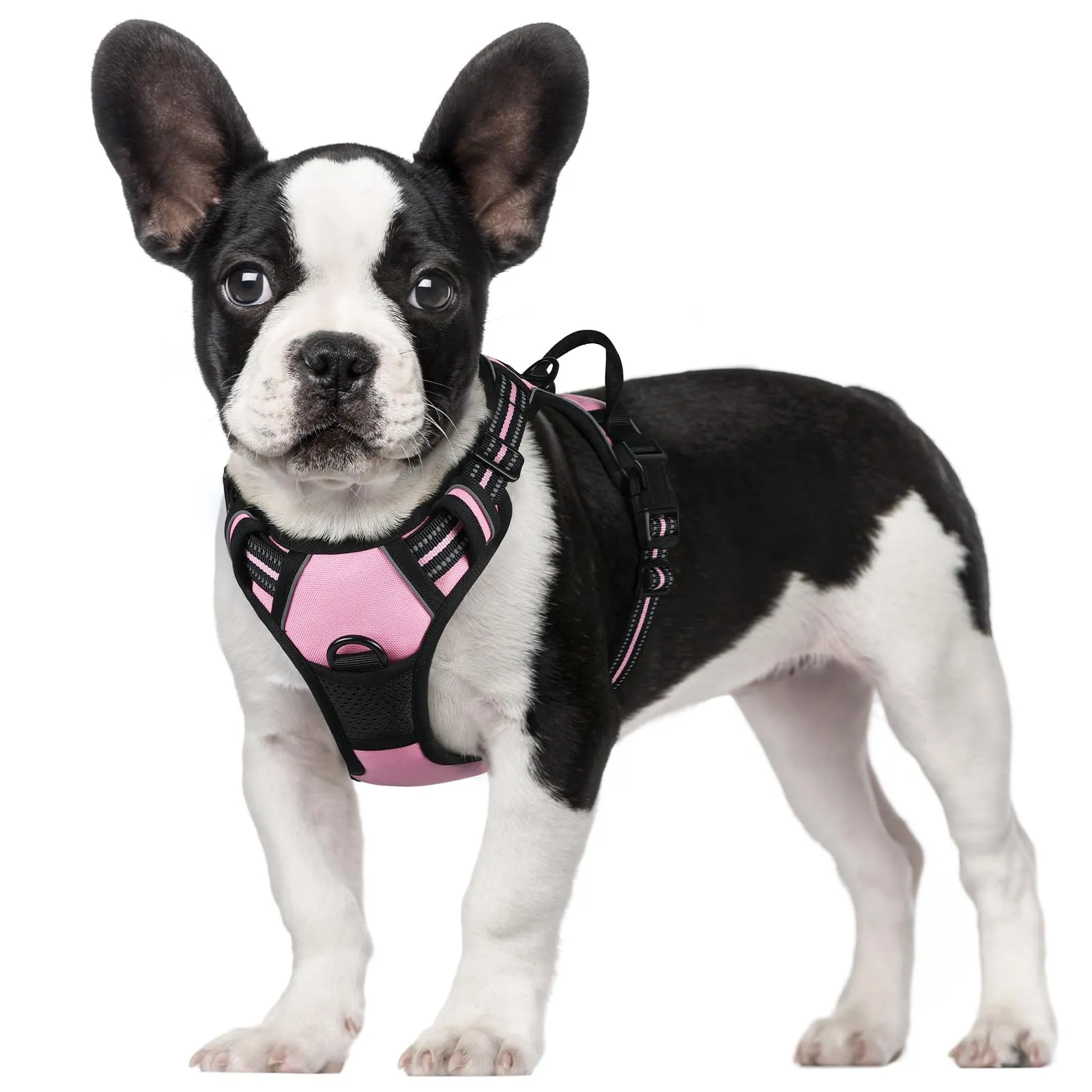 rabbitgoo Pettorina Cane ad H Regolabile Anti Tiro Riflettente, Rosa, S - immagine 1