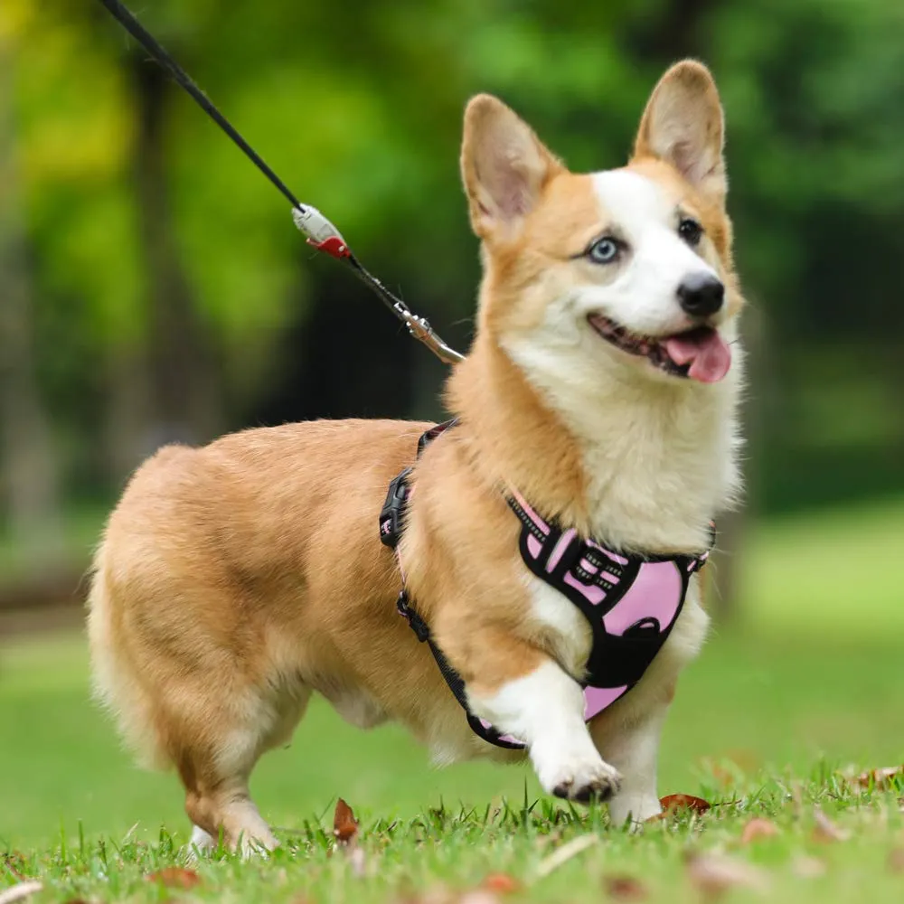 rabbitgoo Pettorina Cane ad H Regolabile Anti Tiro Riflettente, Rosa, S - immagine 10