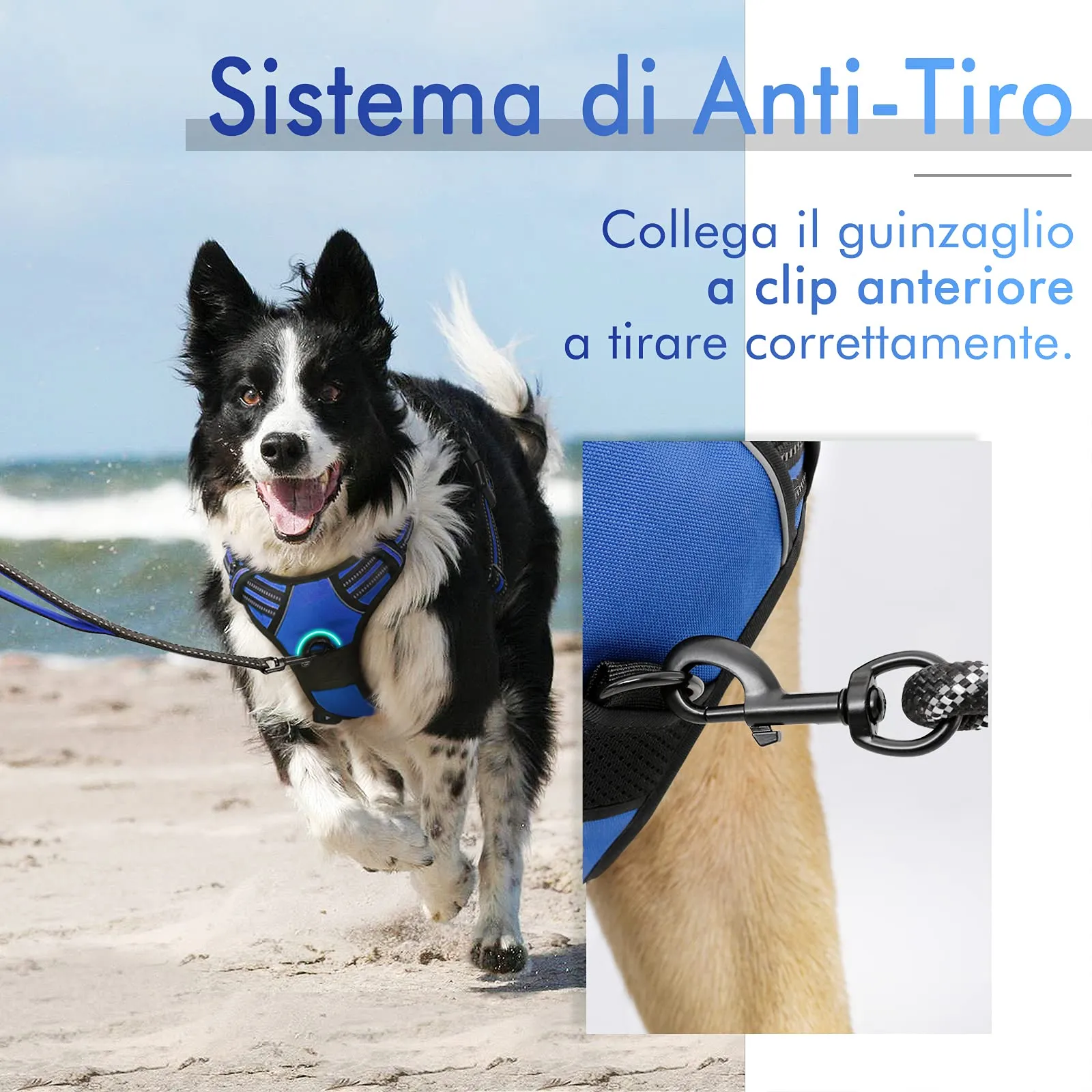 rabbitgoo Pettorina Cane ad H Regolabile Anti Tiro Riflettente, Blu, XL - immagine 3