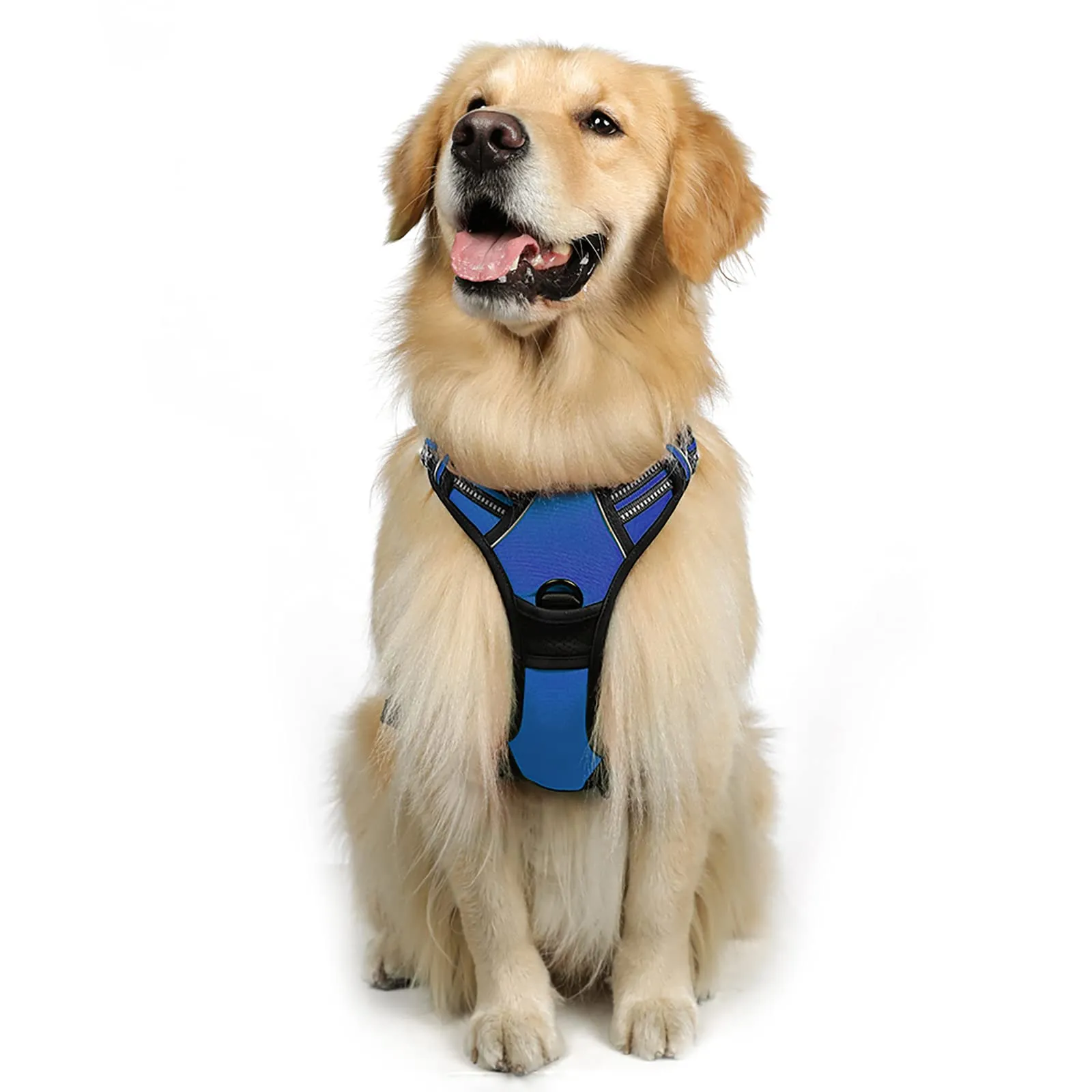 rabbitgoo Pettorina Cane ad H Regolabile Anti Tiro Riflettente, Blu, L - immagine 1