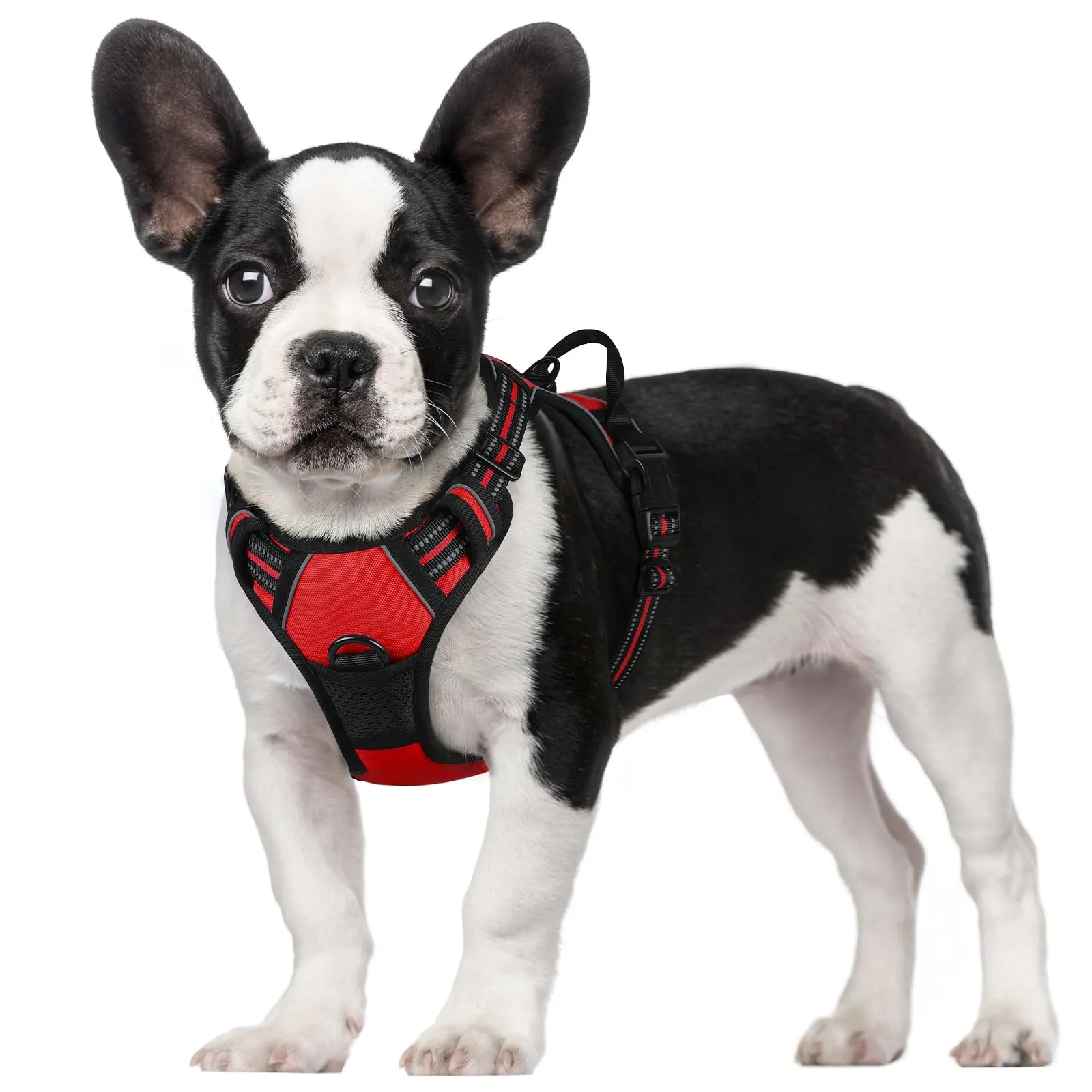 rabbitgoo Pettorina Cane ad H Regolabile Anti Tiro Riflettente, Rossa, S - immagine 1