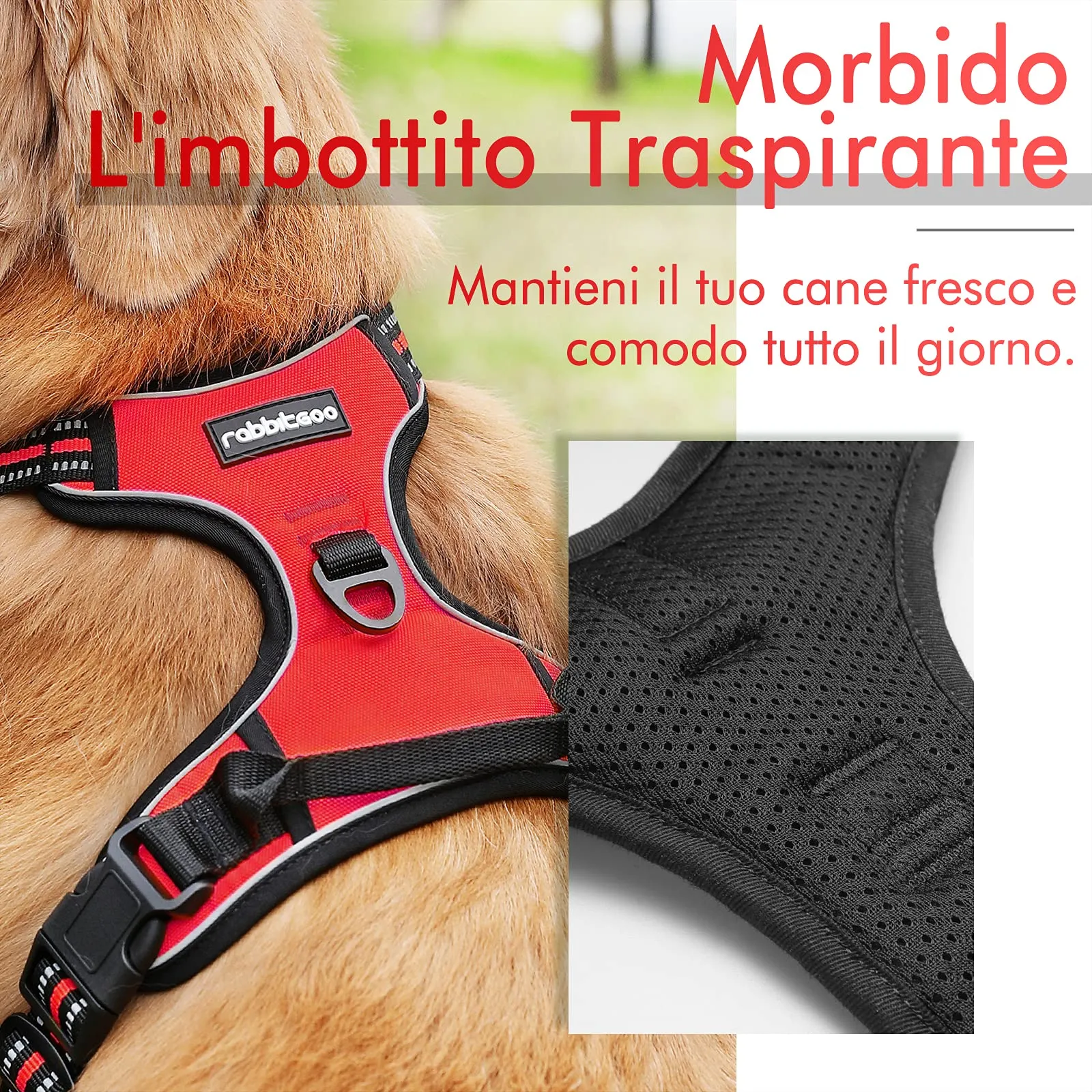rabbitgoo Pettorina Cane ad H Regolabile Anti Tiro Riflettente, Rossa, S - immagine 3