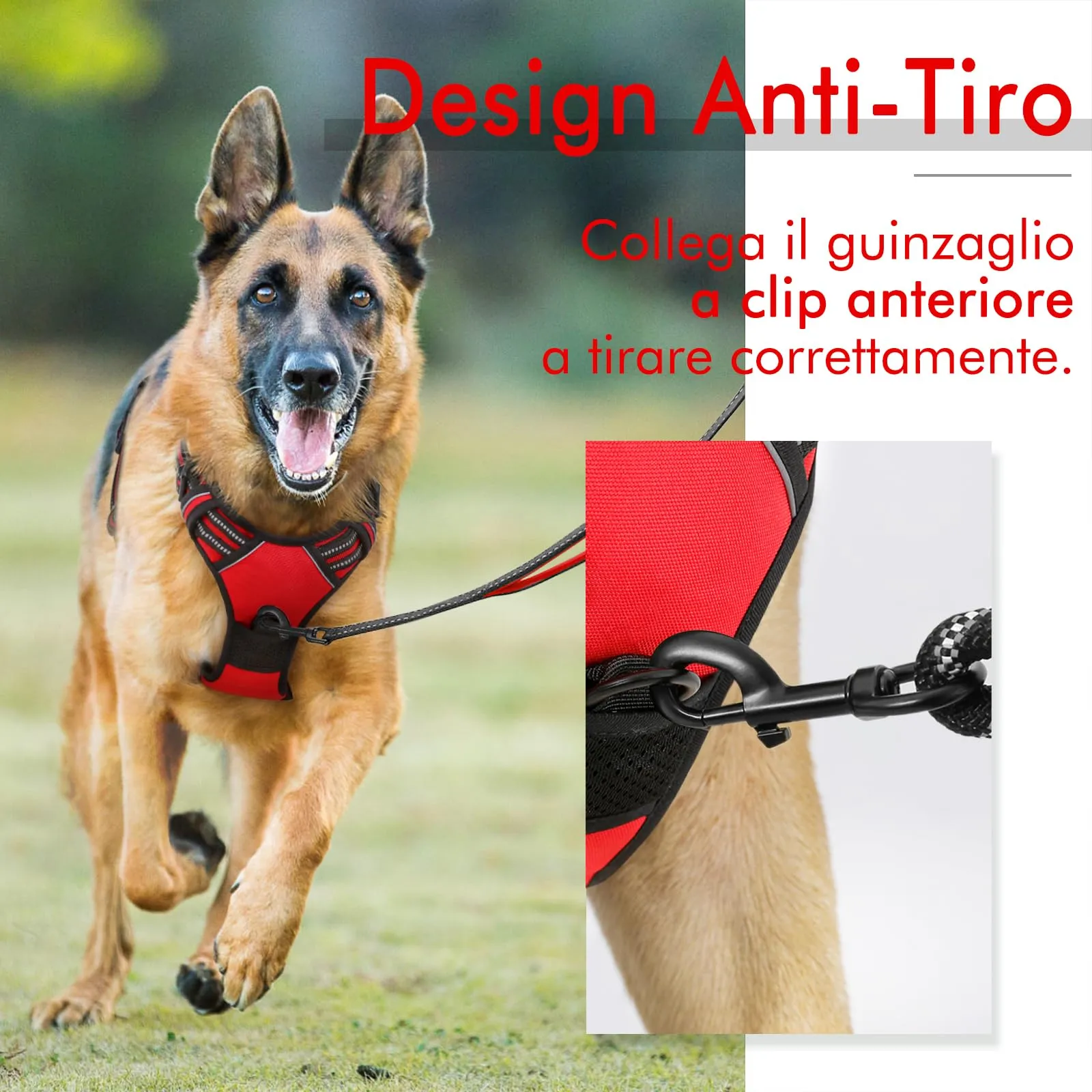 rabbitgoo Pettorina Cane ad H Regolabile Anti Tiro Riflettente, Rossa, S - immagine 5