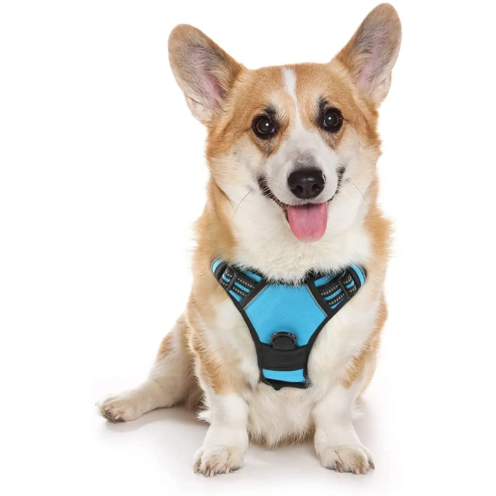rabbitgoo Pettorina Cane ad H Regolabile Anti Tiro Riflettente e Traspirante, Blu Chiaro, M - immagine 1