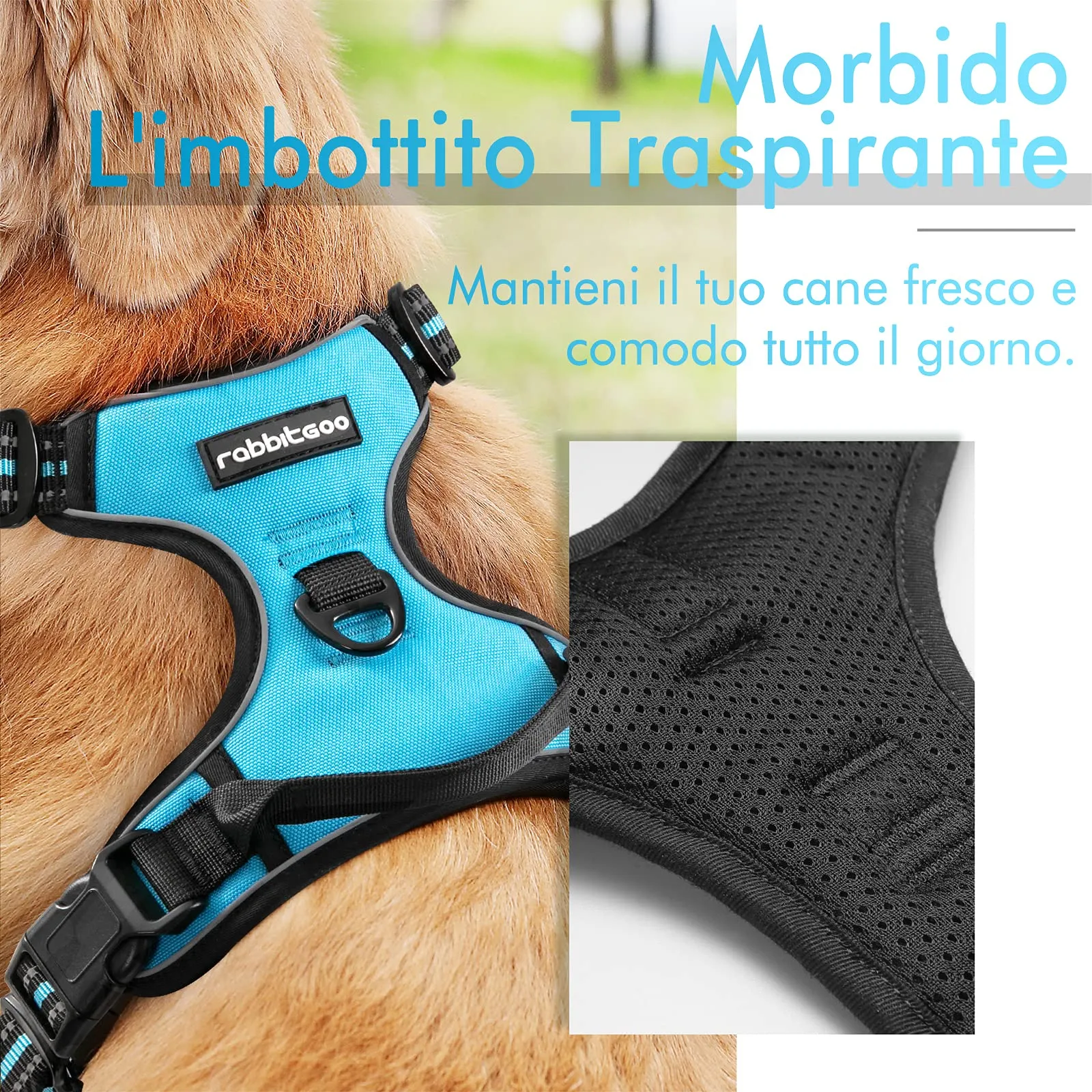 rabbitgoo Pettorina Cane ad H Regolabile Anti Tiro Riflettente e Traspirante, Blu Chiaro, M - immagine 2