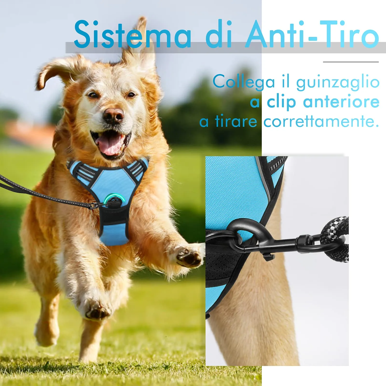 rabbitgoo Pettorina Cane ad H Regolabile Anti Tiro Riflettente e Traspirante, Blu Chiaro, M - immagine 3