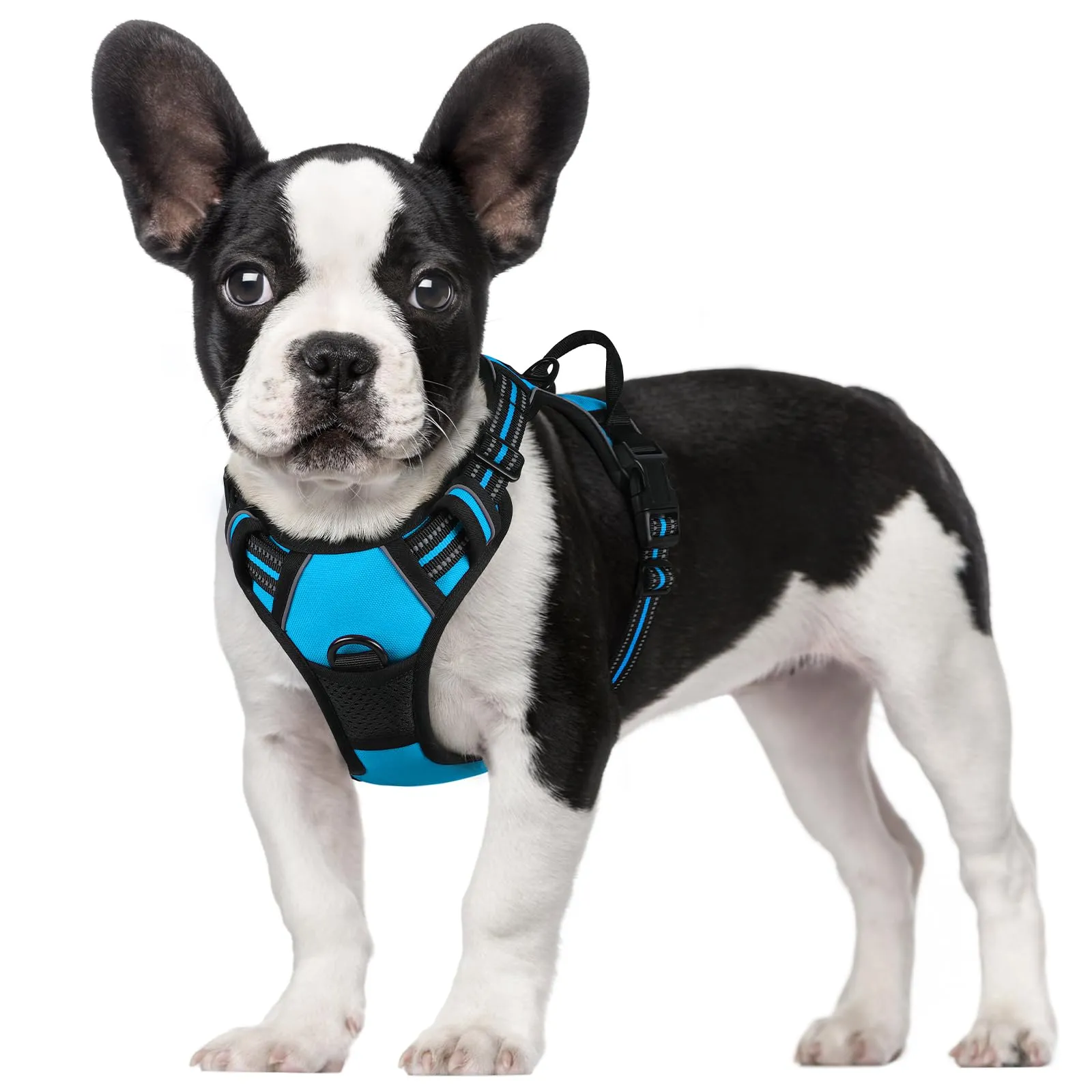 rabbitgoo Pettorina Cane ad H Regolabile Anti Tiro Riflettente, Traspirante per Addestramento, Blu Chiaro, S - immagine 1