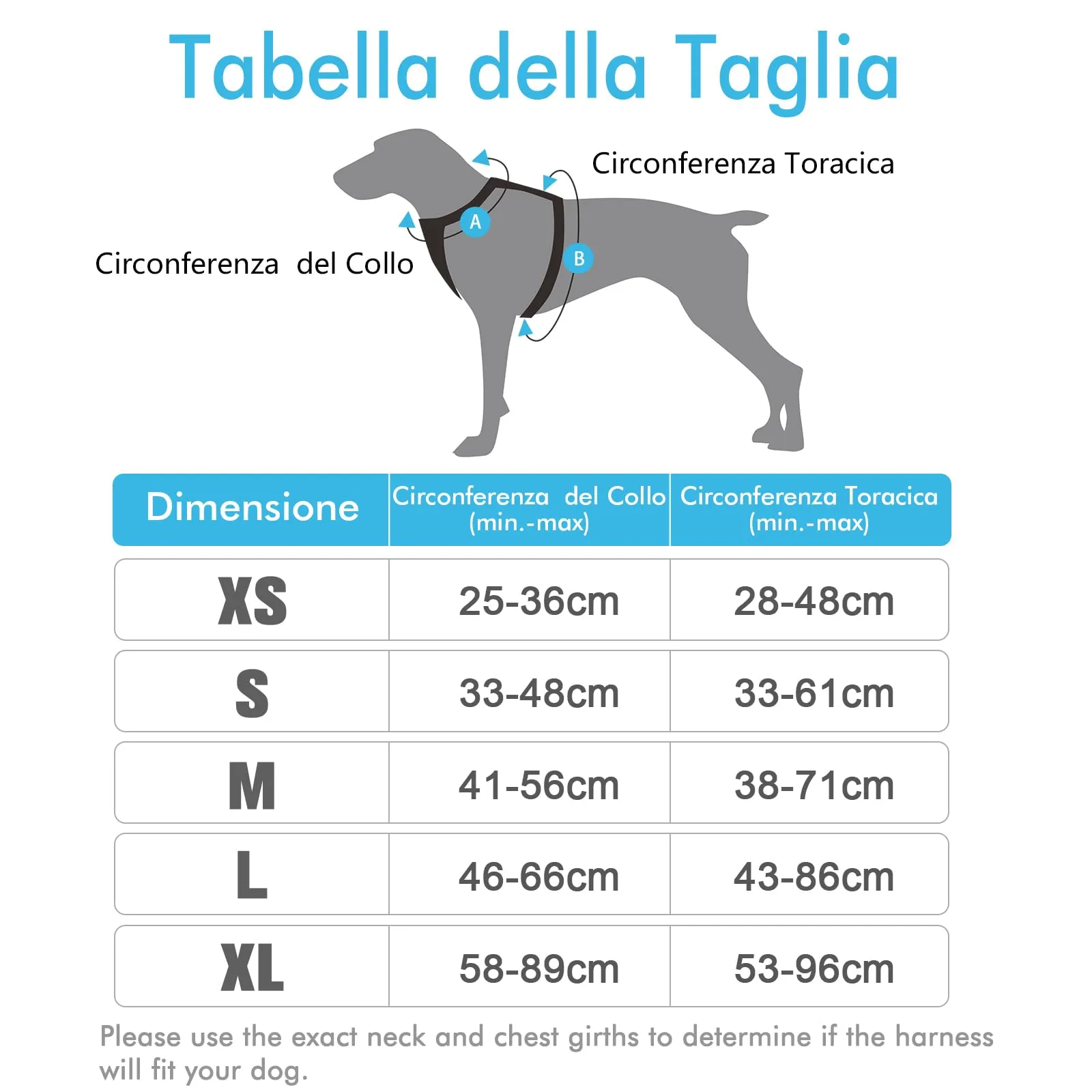 rabbitgoo Pettorina Cane ad H Regolabile Anti Tiro Riflettente, Traspirante per Addestramento, Blu Chiaro, S - immagine 2