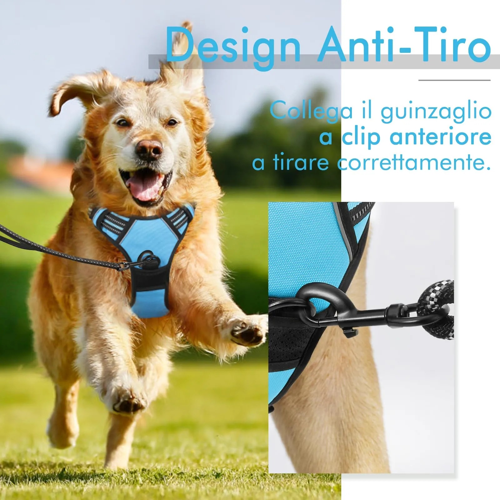 rabbitgoo Pettorina Cane ad H Regolabile Anti Tiro Riflettente, Traspirante per Addestramento, Blu Chiaro, S - immagine 5