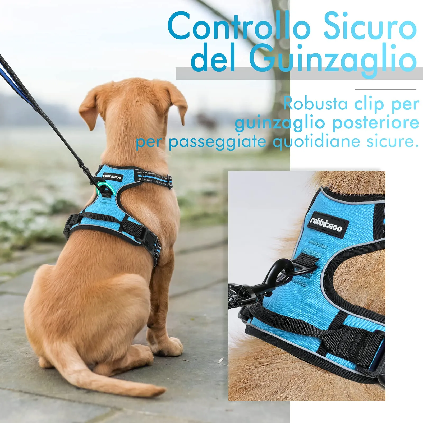 rabbitgoo Pettorina Cane ad H Regolabile Anti Tiro Riflettente, Traspirante per Addestramento, Blu Chiaro, S - immagine 6