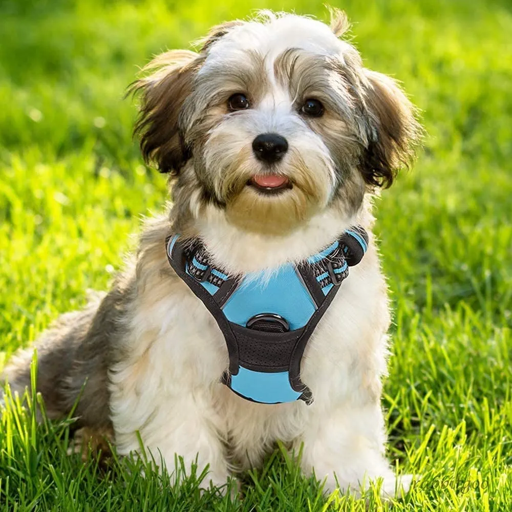 rabbitgoo Pettorina Cane ad H Regolabile Anti Tiro Riflettente, Traspirante per Addestramento, Blu Chiaro, S - immagine 10