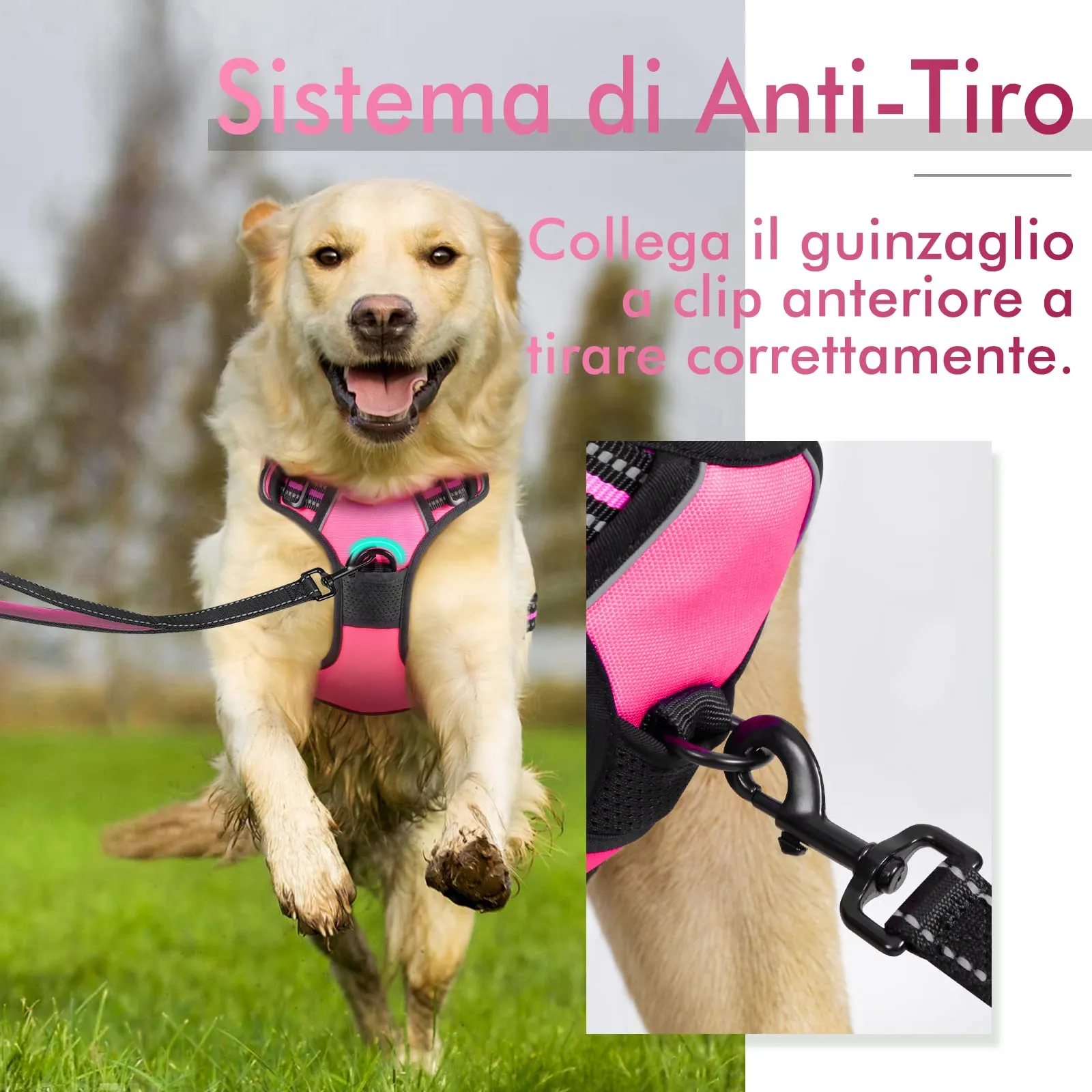 rabbitgoo Pettorina Cane ad h Regolabile Anti Tiro Riflettente, Rosa Rosso, M - immagine 5