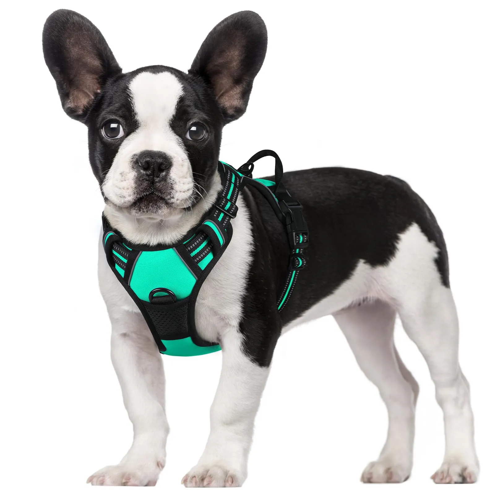 rabbitgoo Pettorina Cane ad H Regolabile Anti Tiro Riflettente e Traspirante, Menta Verde, S - immagine 1